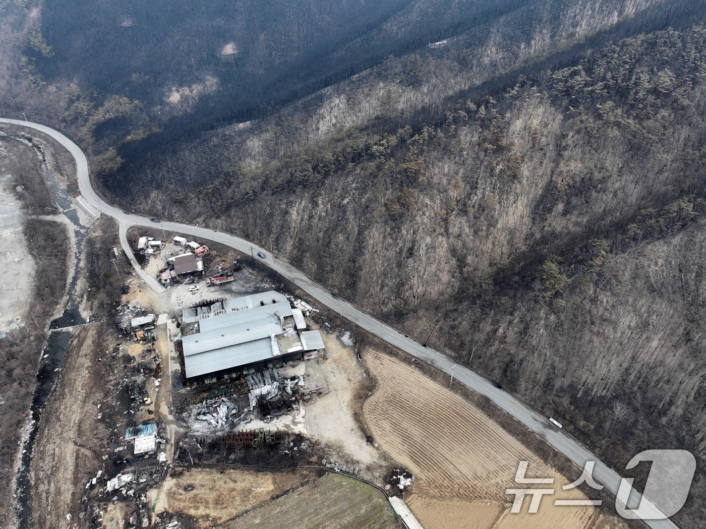 대구시는 27일 경북 대형산불 피해 지역과 연고가 있는 공무원으로 구성된 '고향마을 복구 대구공무원지원단'을 재난 수습·복구와 이재민 구호 활동을 위해 파견한다고 밝혔다. 지난 3월 28일 안동시 임하면 마을에 산불 피해 흔적이 남아있다. 2025.3.28/뉴스1 ⓒ News1 이승배 기자