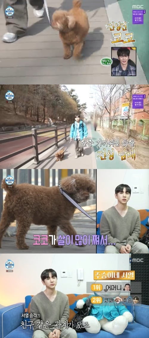 MBC &#39;나 혼자 산다&#39; 캡처
