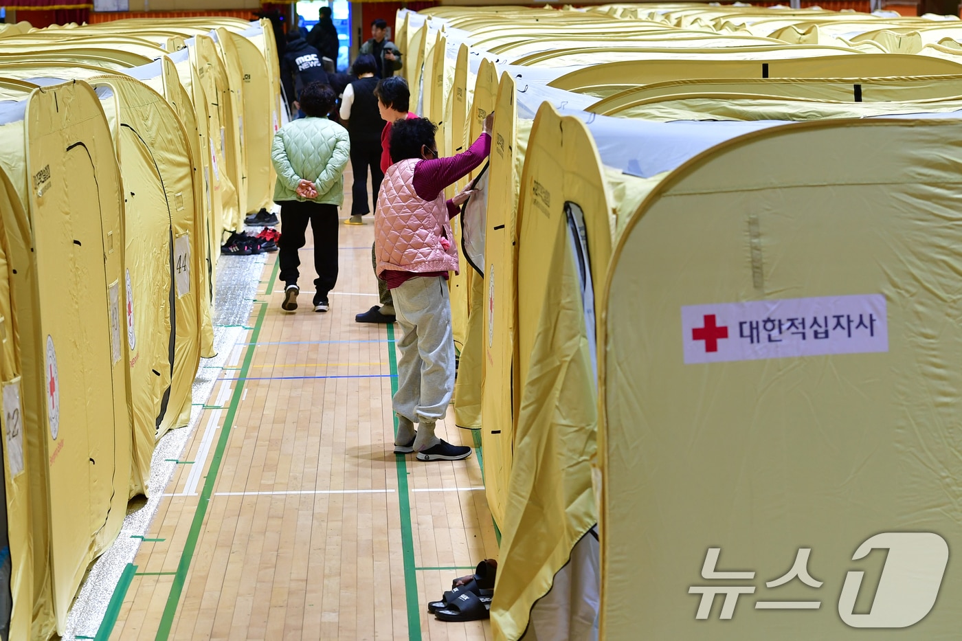 29일 오전 경북 영덕군 산불 이재민 대피소인 영덕읍국민체육센터에 임시 텐트 100여개가 설치됐다. 2025.3.29 ⓒ 뉴스1 최창호 기자
