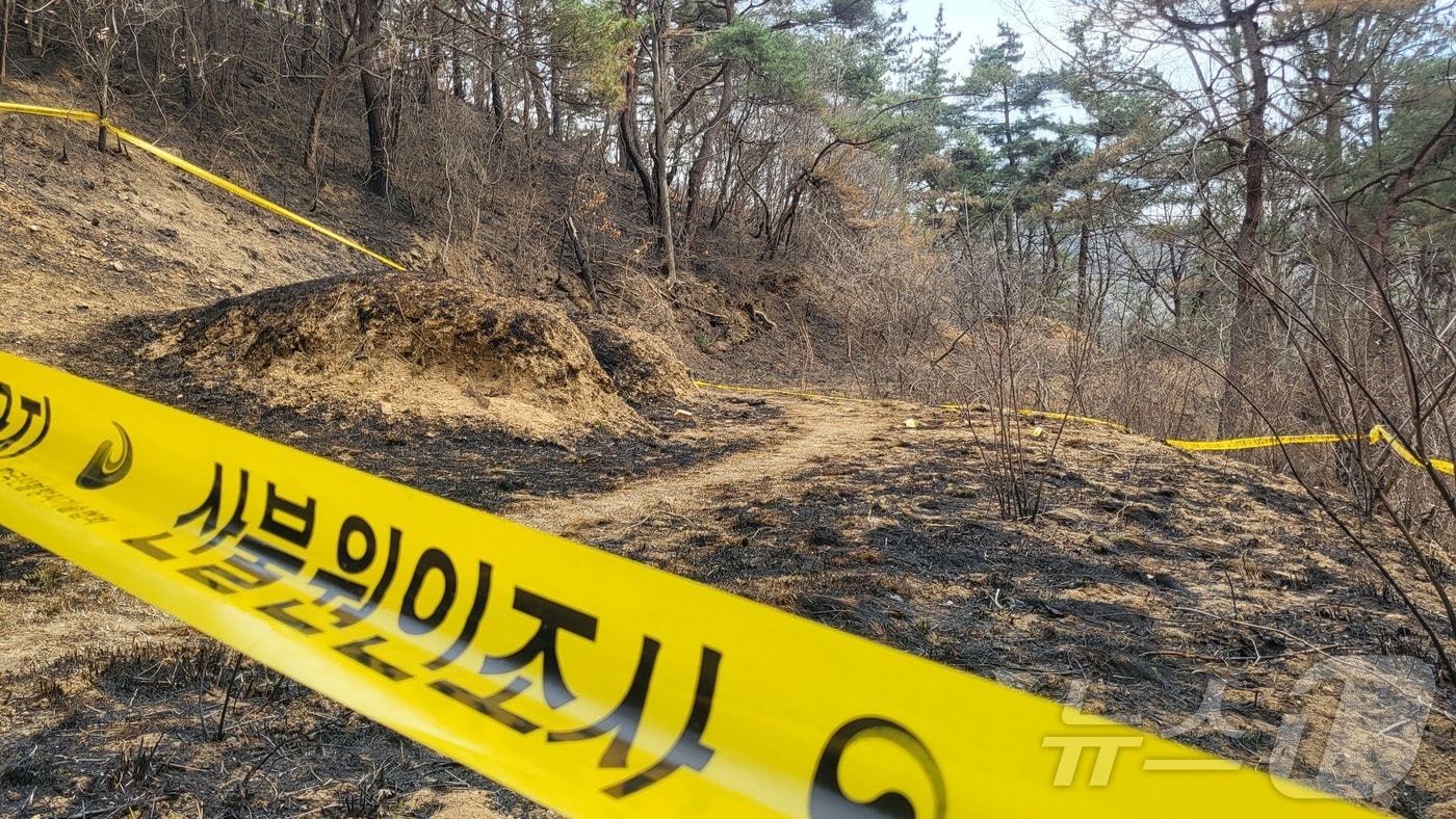 29일 경북 의성군 괴산리 야산의 최초 발화지점에 산림 당국의 출입 통제 라인이 설치돼 있다. 경북경찰청은 의성 산불 최초 발화 지점에서 증거 물품인 라이터를 확보했다. 2025.3.29/뉴스1 ⓒ News1 이성덕 기자