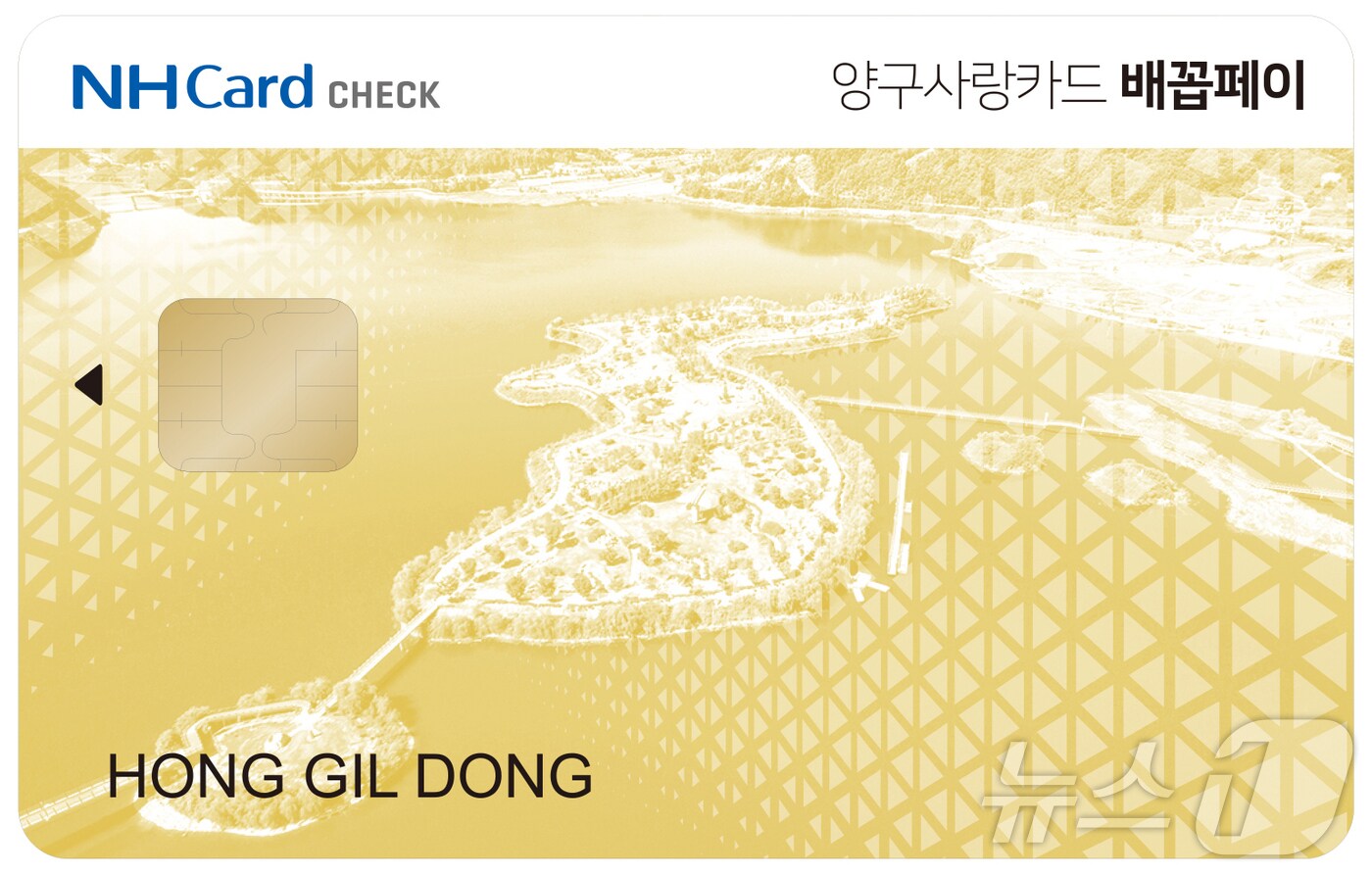 카드형 양구사랑상품권 '배꼽페이'.(양구군 제공, 재판매 및 DB금지)