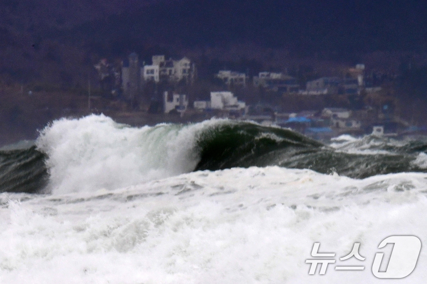 바다에 높은 파도가 밀려들고 있다. ⓒ News1