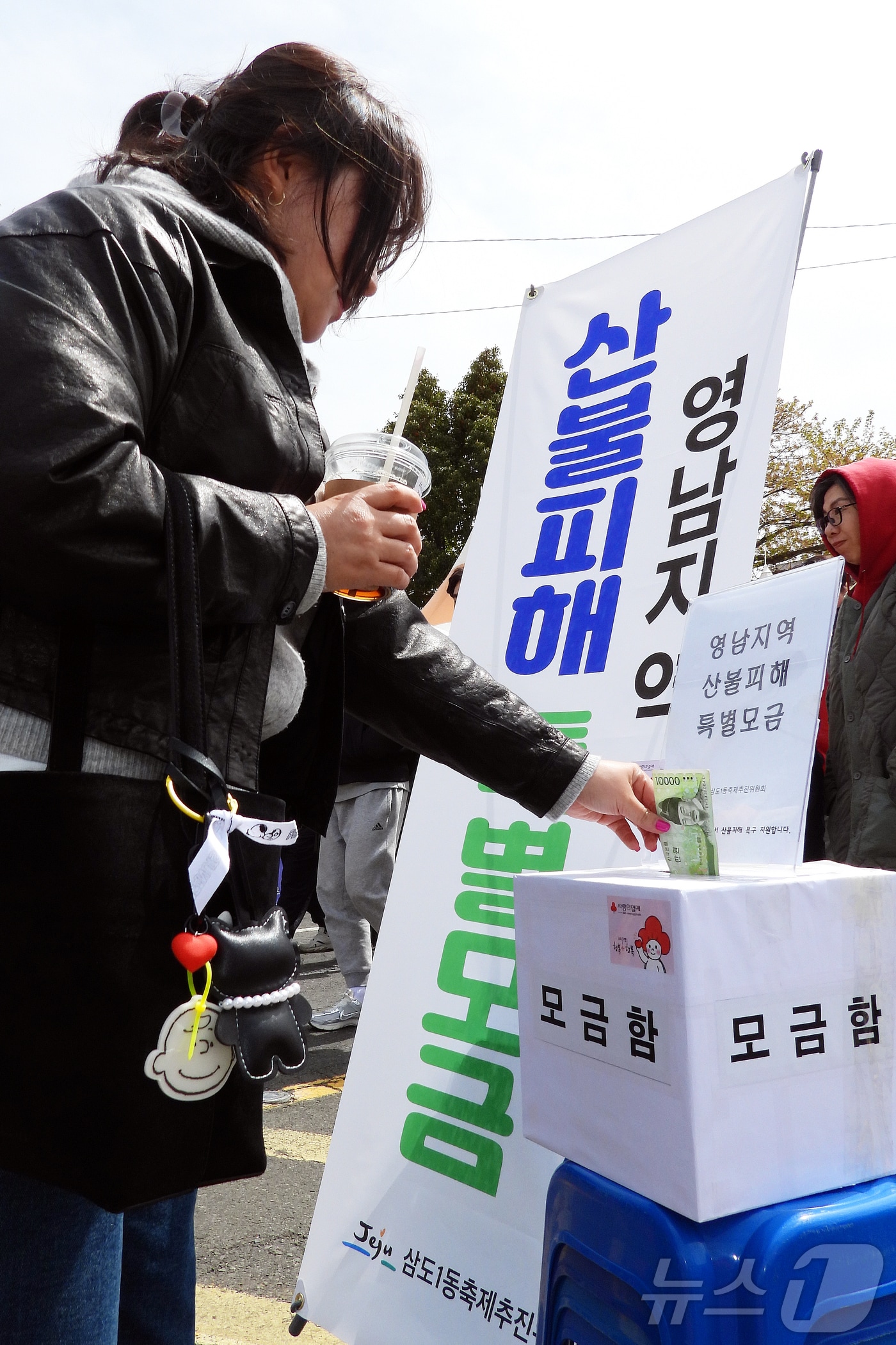 30일 오후 제주시 삼도1동 전농로 일대에서 열린 '제18회 전농로 왕벚꽃 축제'에서 한 상춘객이 영남지역 산불피해 지원 특별모금함에 성금을 넣고 있다. 2025.3.30/뉴스1 ⓒ News1 오미란 기자