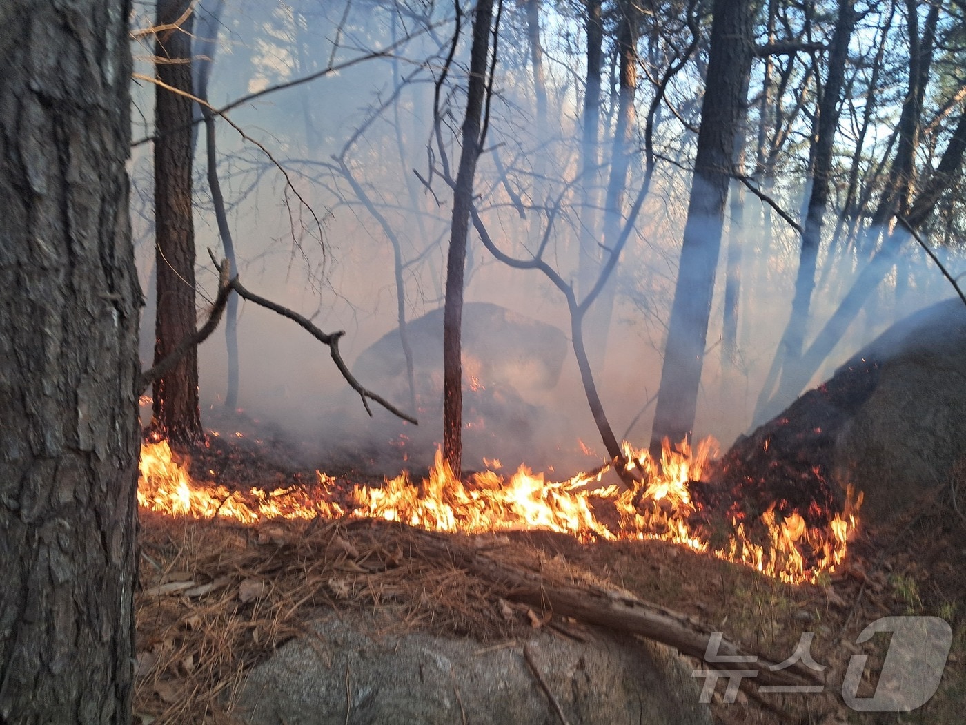 (경기북부소방재난본부 제공, 재판매 및 DB금지)
