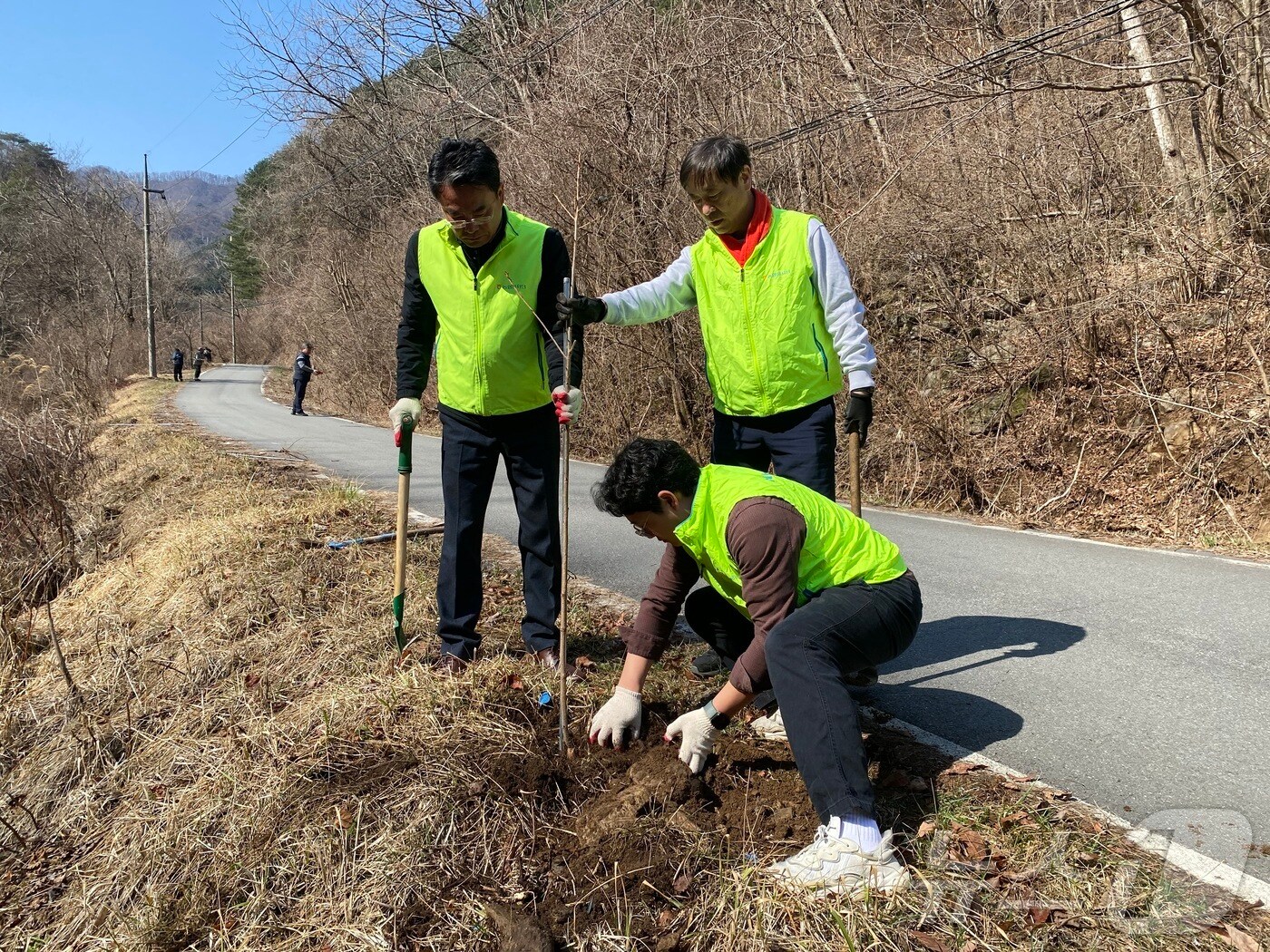 농협중앙회 강원본부·한국환경공단 강원환경본부·춘천강동농협은 31일 춘천시 동면 품걸리에서 나무 심기 행사를 실시했다.(농협 강원본부 제공. 재판매 및 DB금지)/뉴스1