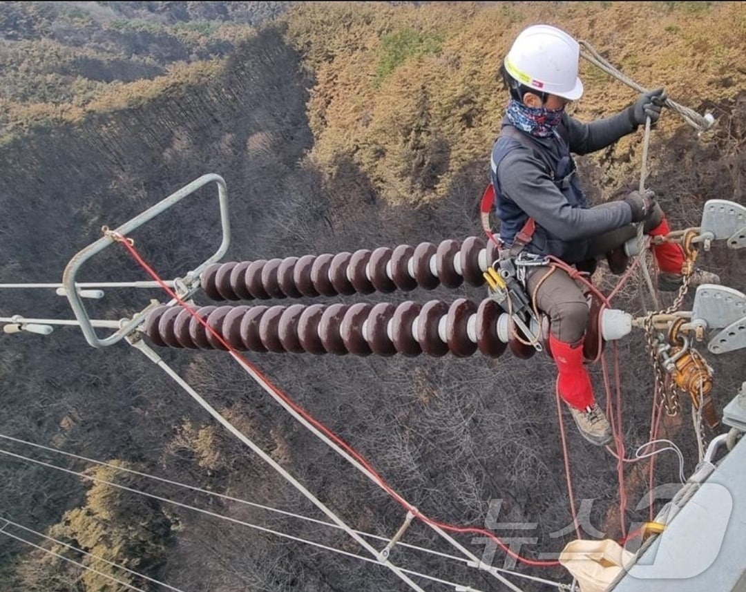 한국전력은 영남권에서 발생한 대형 산불로 피해를 입은 전력설비 신속 복구작업을 진행 중이라고 31일 밝혔다. 사진은 송전선로 애자 복구작업.(한전 제공, 재배포 및 DB 금지) /뉴스1 2025.3.31/뉴스1 ⓒ News1 박영래 기자