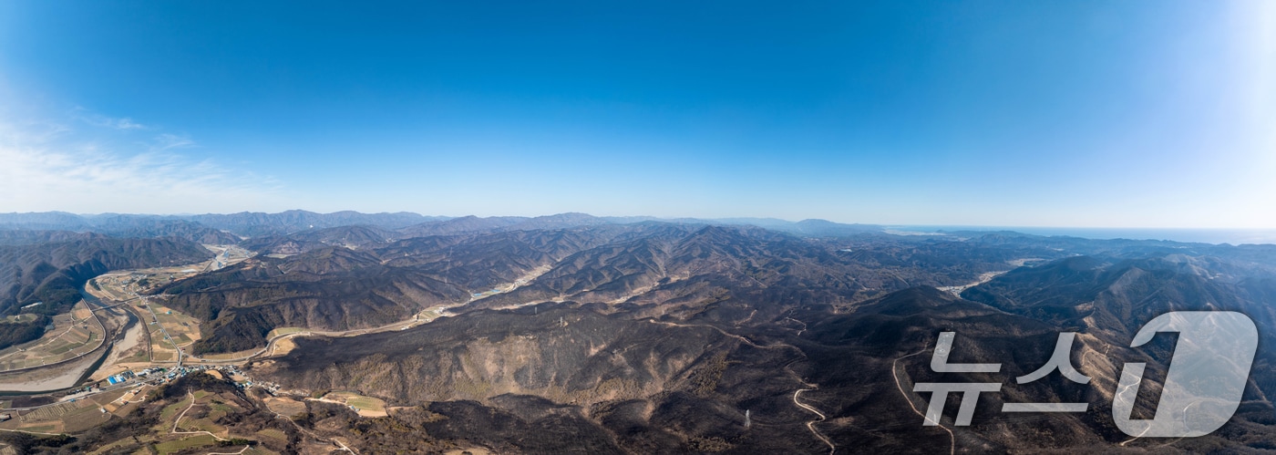 지난 29일 산불 피해 지역인 경북 영덕군 일대 산들이 까맣게 타 있다. 2025.3.31/뉴스1 ⓒ News1 최창호 기자