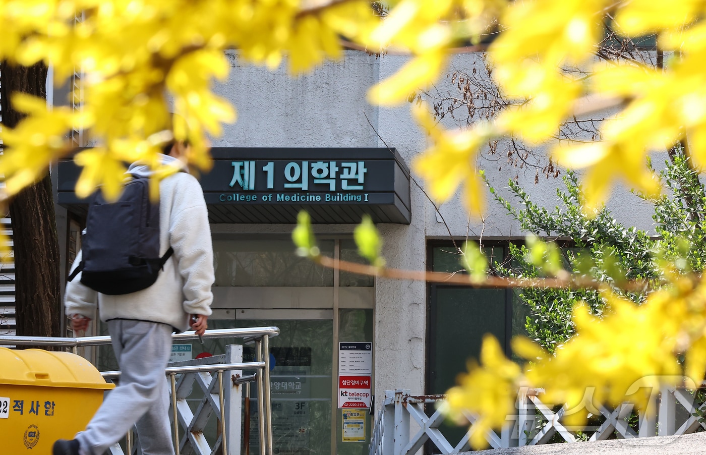 서울 시내 한 의과대학의 모습. /뉴스1 ⓒ News1 김도우 기자
