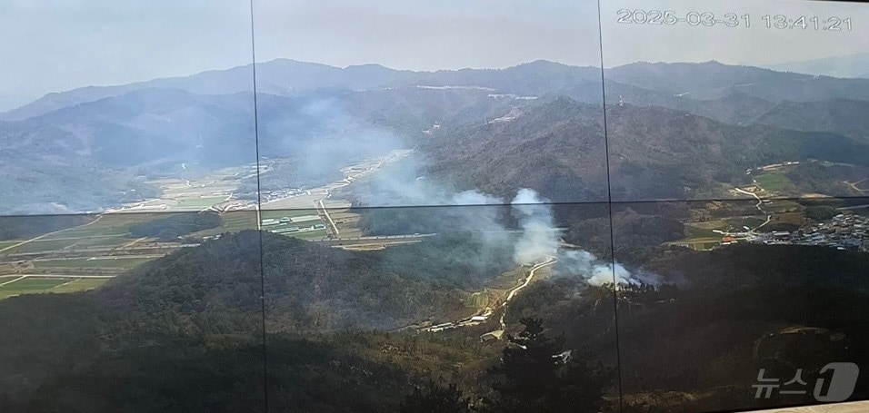 31일 오후 1시 31분쯤 전남 해남군 계곡면의 한 야산에서 불이 난 모습. (전남도 제공. 재판매 및 DB 금지)
