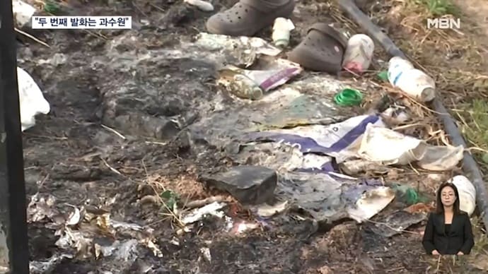 (MBN 뉴스 갈무리)