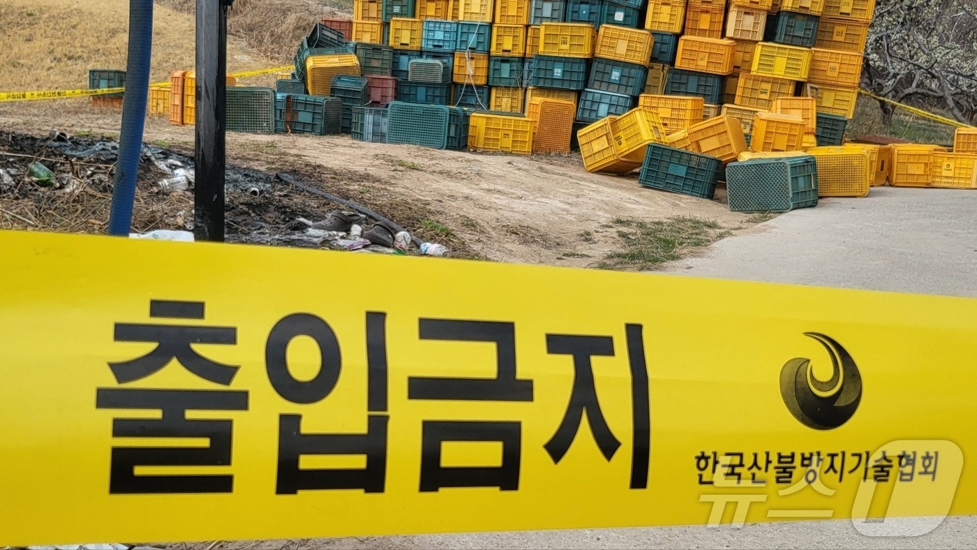 3월31일 경북 의성군 안계면에 있는 한 자두 과수원 농장에 산림 당국의 출입 통제 라인이 설치돼 있다. 의성 산불이 처음 시작된 곳은 성묘객 실화로 추정되는 안평면 등 두 곳으로 특정됐다. 2025.3.31/뉴스1 ⓒ News1 이성덕 기자