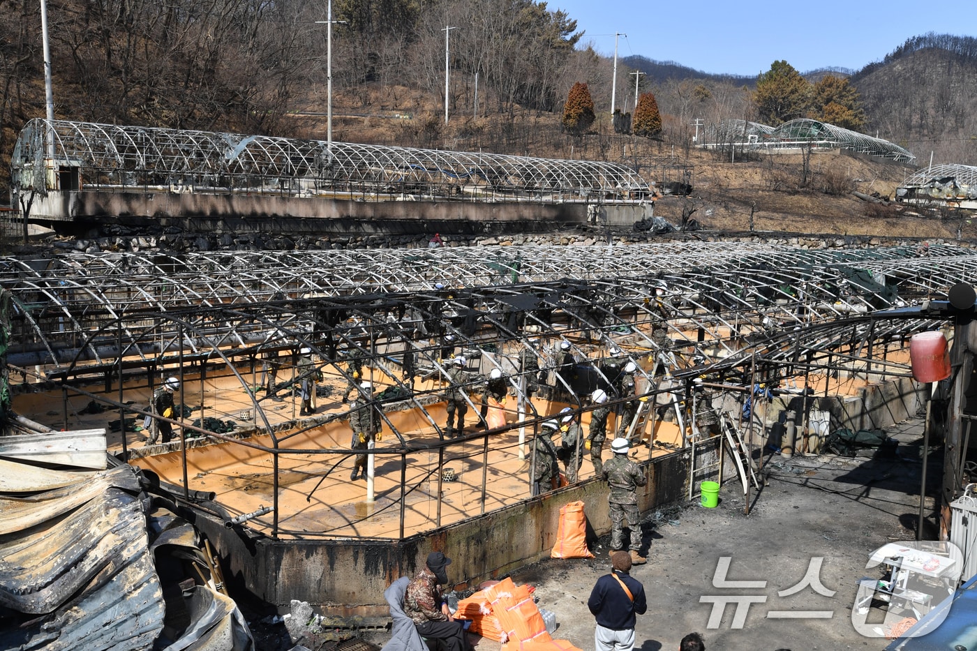 육군 50사단 병력이 31일 오전 산불 피해지역인 영덕군 영덕읍 양식장에서 복구 작업을 하고 있다. 2025.3.31/뉴스1 ⓒ News1 최창호 기자