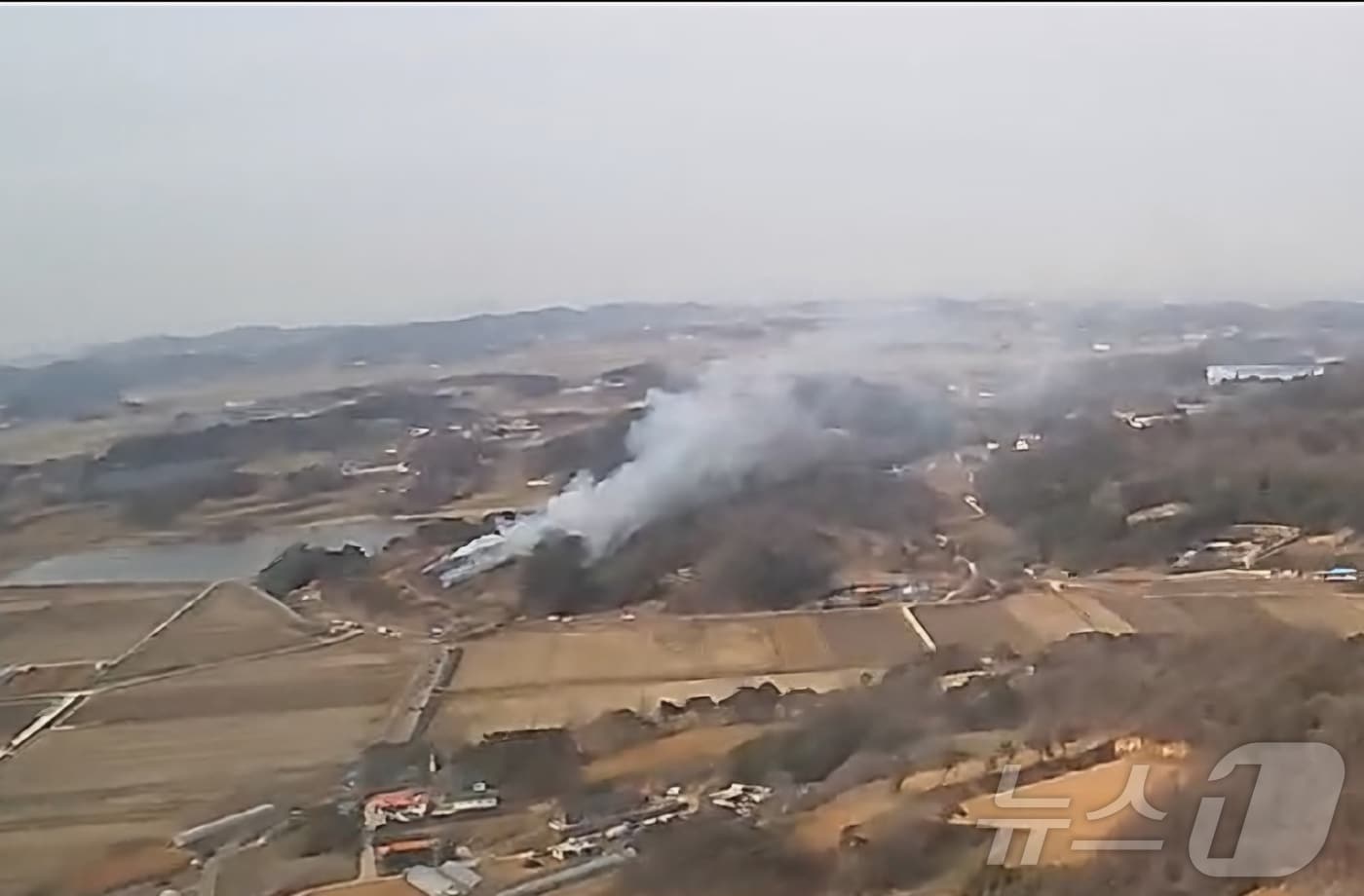 31일 오후 3시 26분께 충남 당진 고대면 당진포리 야산에서 불이 난 모습. (산림청 제공. 재판매 및 DB금지) /뉴스1