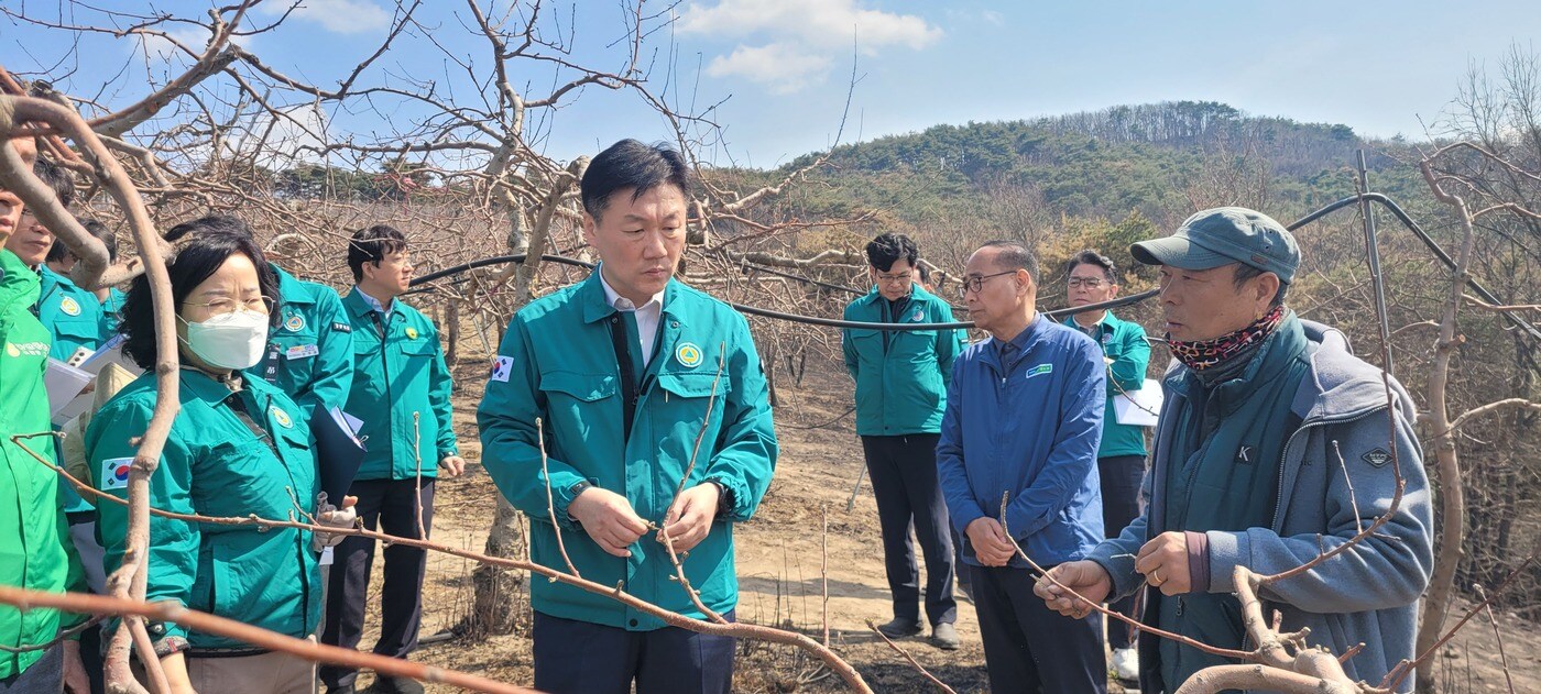 박범수 농림축산식품부 차관이 31일 산불 피해 발생 지역을 돌아보고 있다. (농림축산식품부 제공) 2025.03.31 /뉴스1