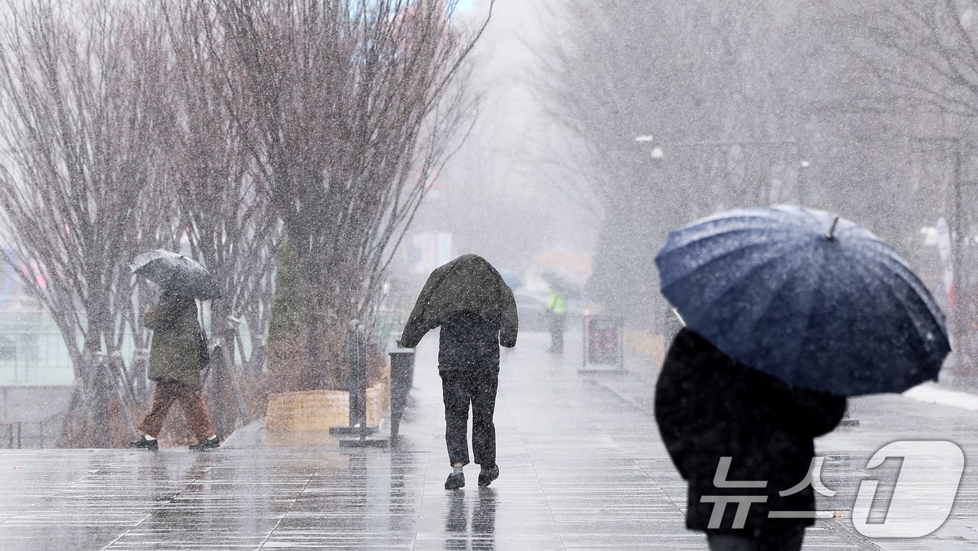 자료사진/뉴스1