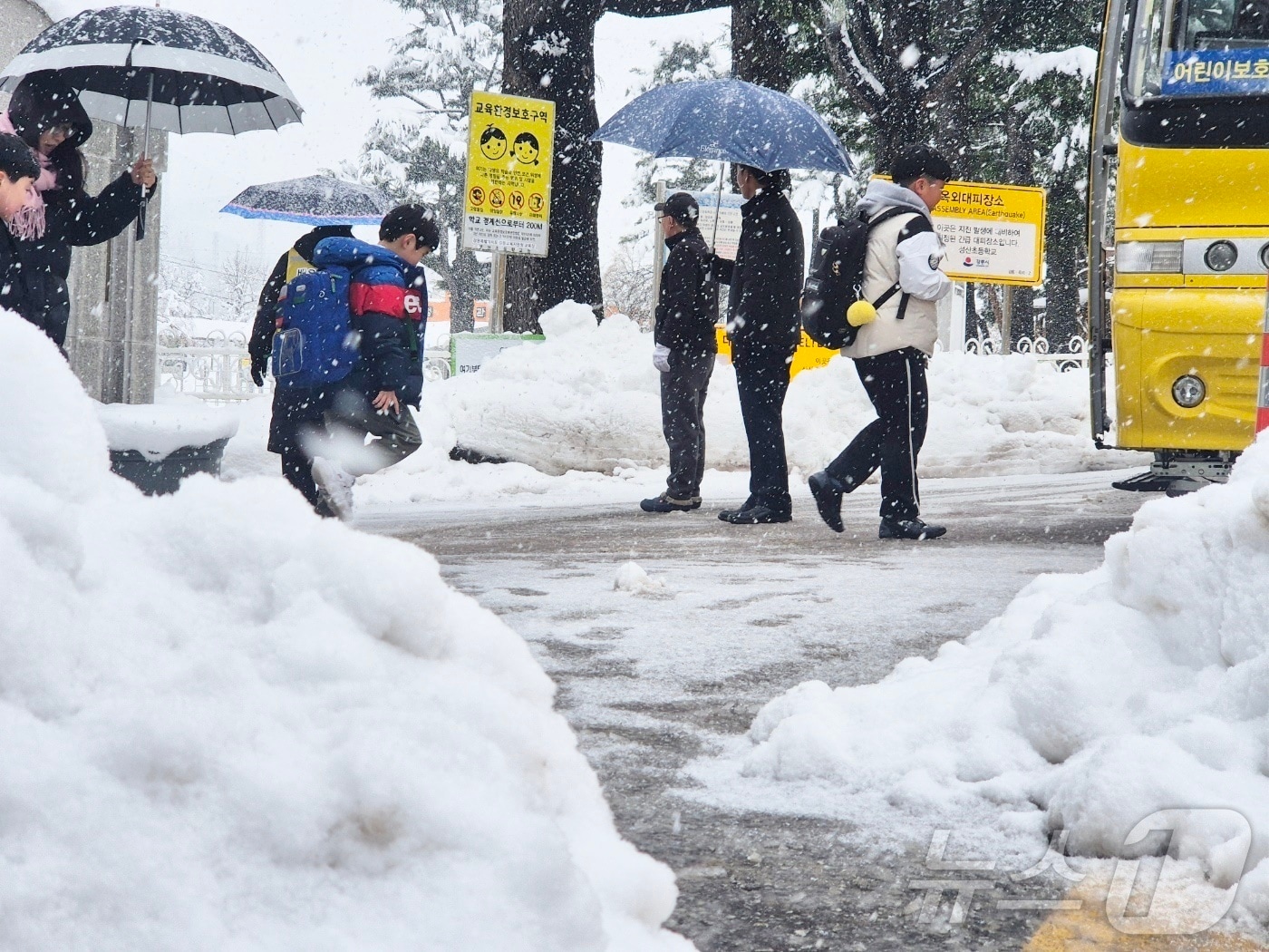 눈 내리는 강릉 초등학교 하굣길 자료사진.(뉴스1 DB) ⓒ News1 윤왕근 기자