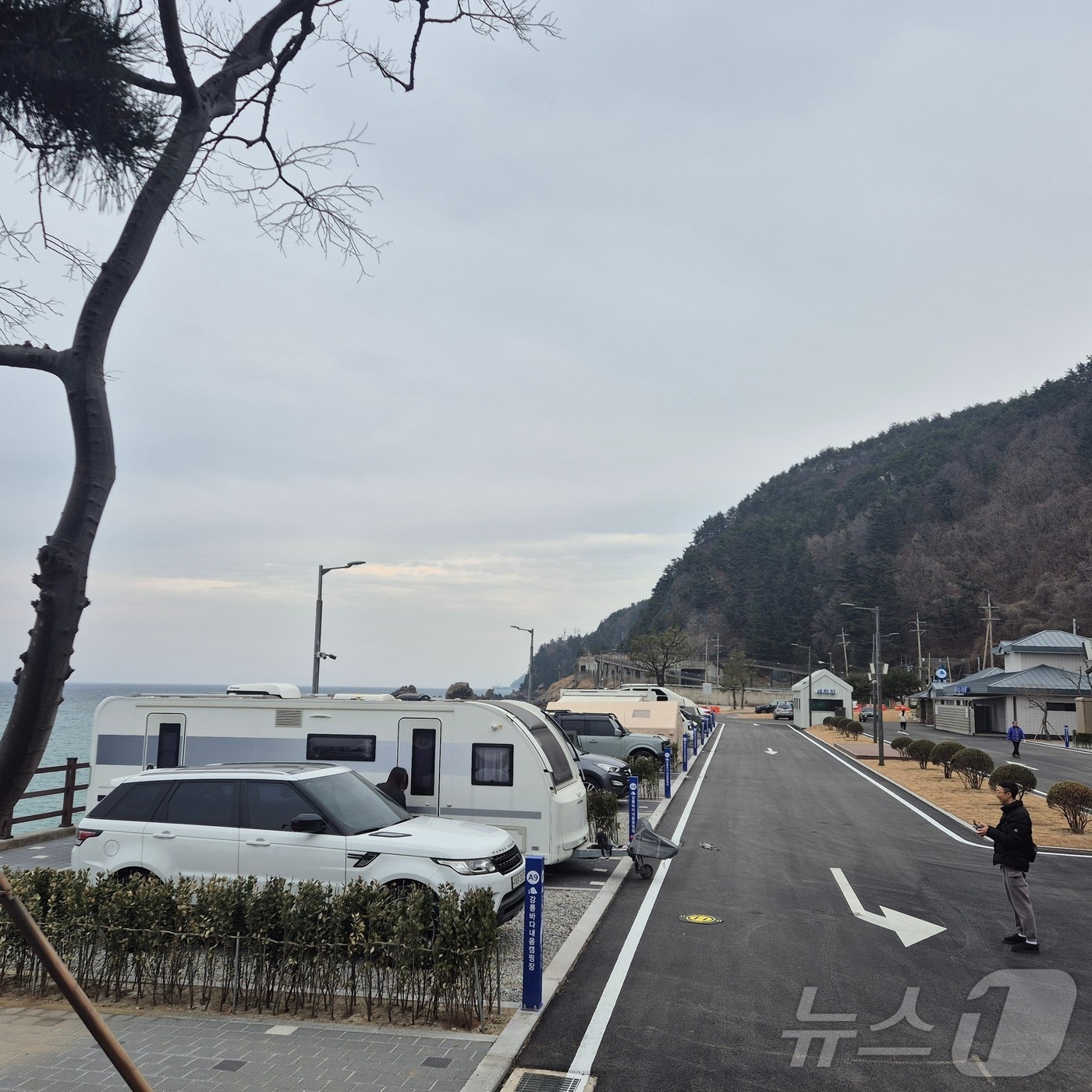 지난 3.1절 연휴 강원 강릉 바다내음캠핑장 시숙행사.(강릉시 제공, 재판매 및 DB 금지) 2025.3.5/뉴스1