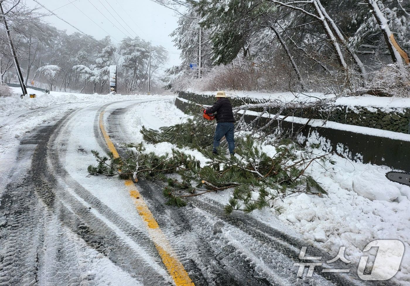 5일 오전 경북 경주시 직원이 대설경보로 통제됐던 불국로에서 제설작업을 하고 있다.&#40;경주시 제공, 재판매 및 DB 금지&#41; 2025.3.5/뉴스1 ⓒ News1 최창호 기자