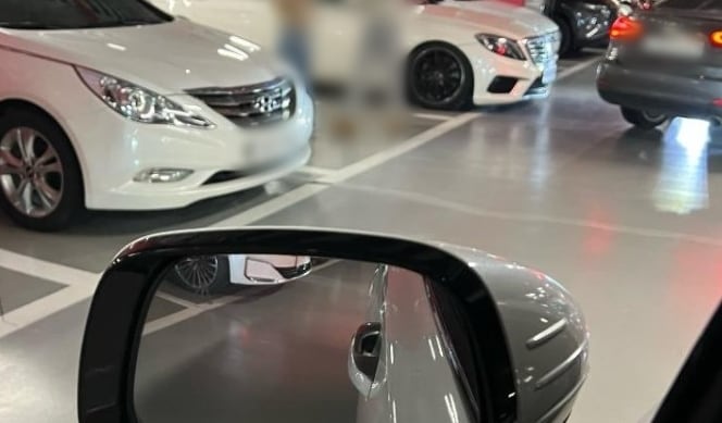 (온라인 커뮤니티 '보배드림' 갈무리)