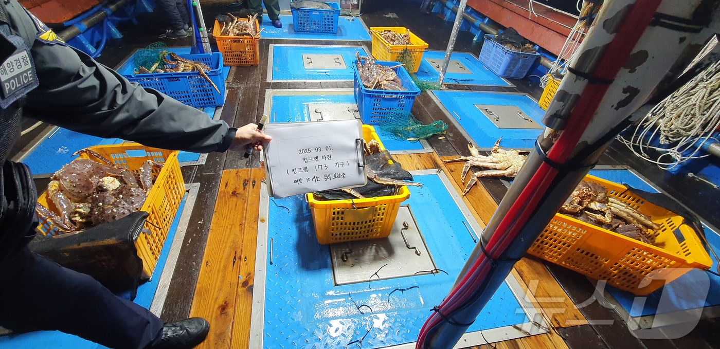 경북 포항해양경찰서가 5일 러시아산 킹크랩을 국내로 밀수한 포항선적 A호(40톤급) 선장 B 씨와 선원 2명을 관세법 위반 혐의로 구속했다. (포항해양경찰서 제공, 재판매 및 DB 금지) 205.3.5/뉴스1 
