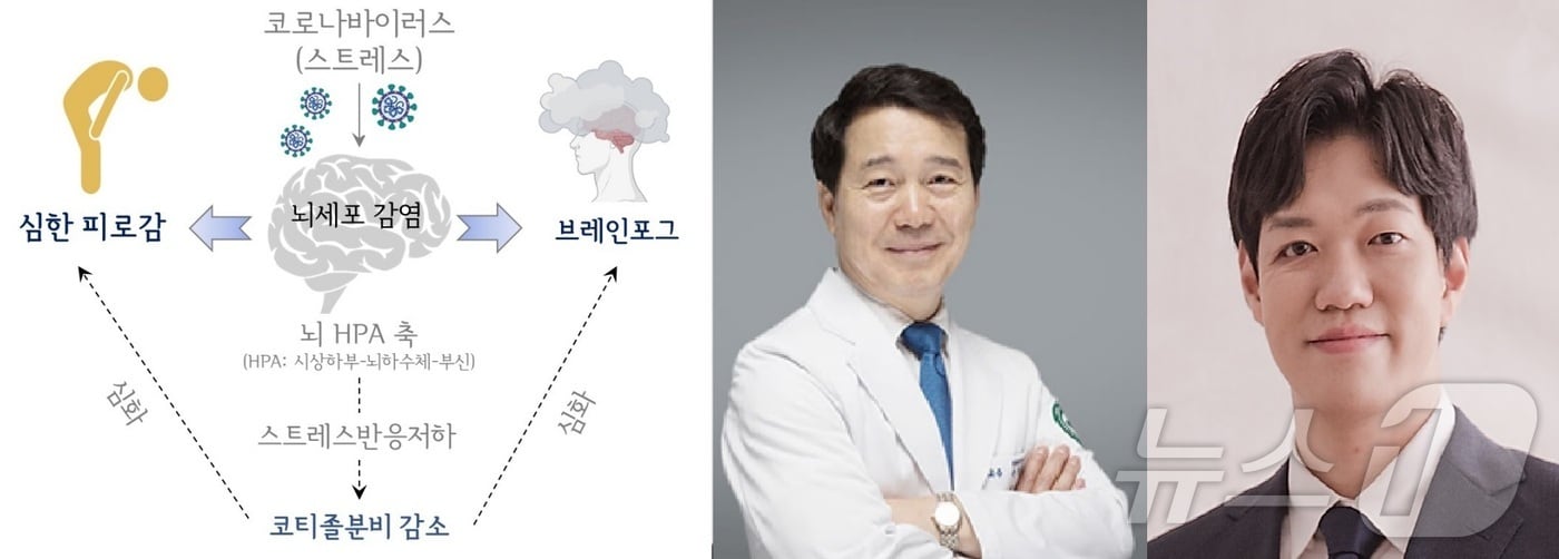 왼쪽부터 손창규 교수, 이진석 교수. (대전대 제공.재판매 및 DB금지)/뉴스1