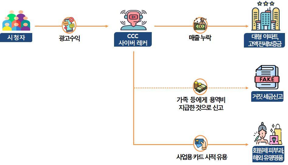 '사이버 레커' BJ 세금 탈루 사례(국세청 제공). 2025.3.6/뉴스1