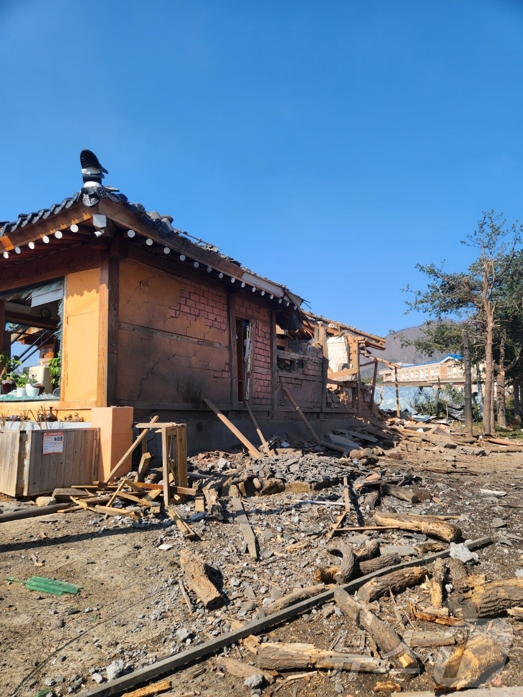 한미연합훈련이 진행된 6일 오전 10시 5분께 경기 포천시 이동면 노곡리 민가에 군이 발사한 폭탄이 추락해 인명 피해가 발생했다. 이 사고로 현재까지 주민 7명이 부상을 당한 것으로 파악됐다 (독자 제공. 재판매 및 DB 금지) 2025.3.6/뉴스1 ⓒ News1 김기현 기자