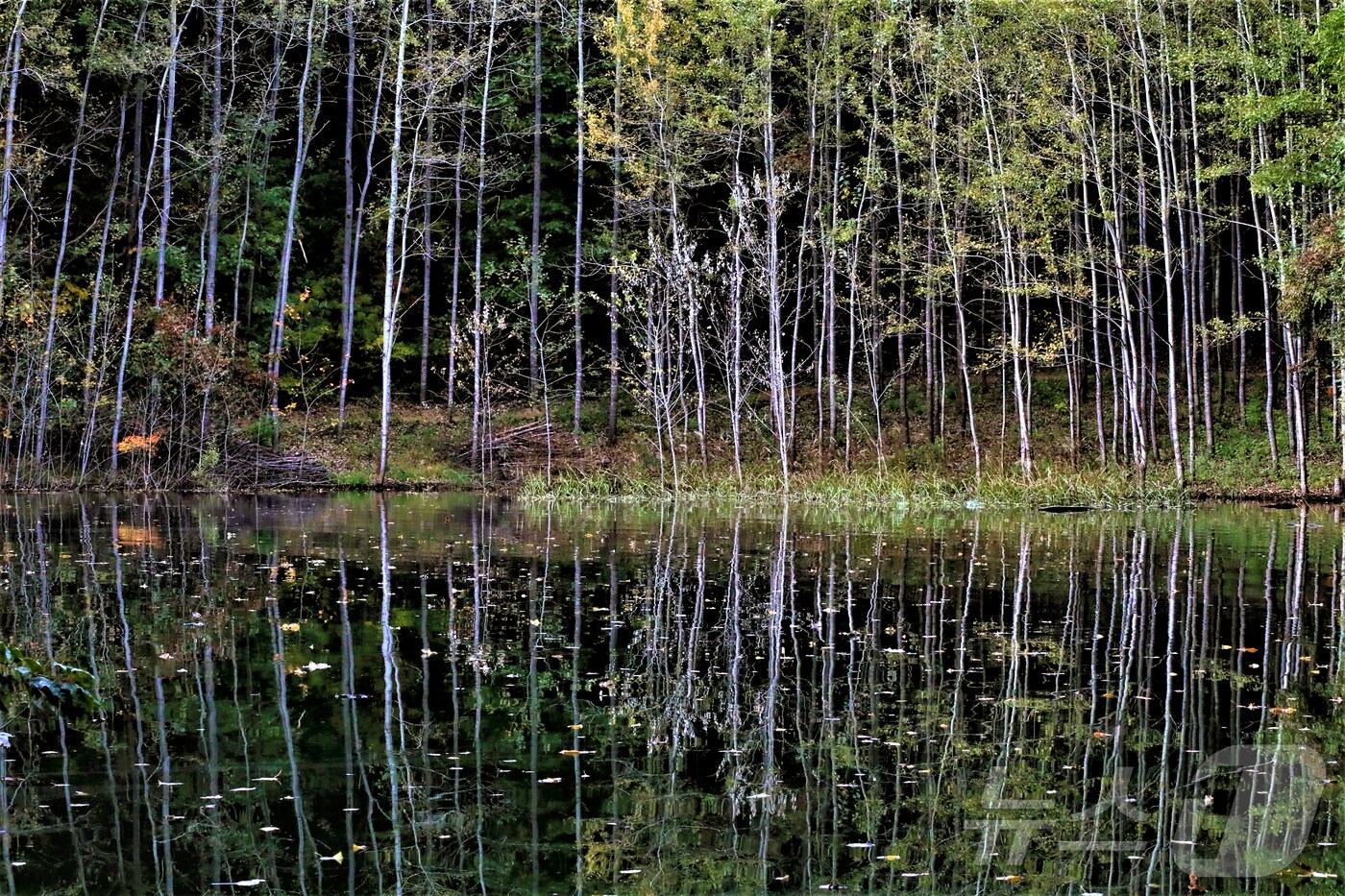횡성호수길.(횡성군 제공. 재판매 및 DB금지)/뉴스1