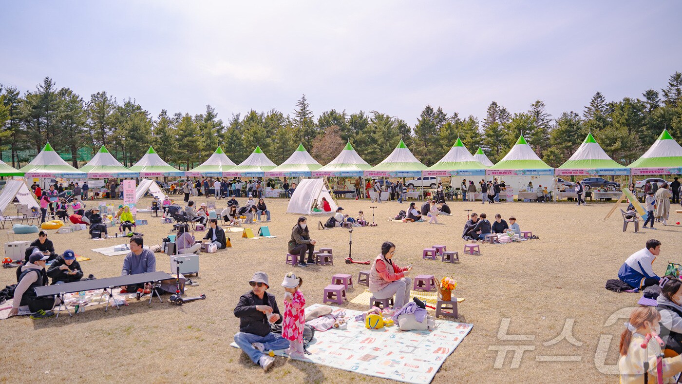 지난해 영랑호 벚꽃축제 현장.(속초시 제공, 재판매 및 DB 금지) 2025.3.6/뉴스1