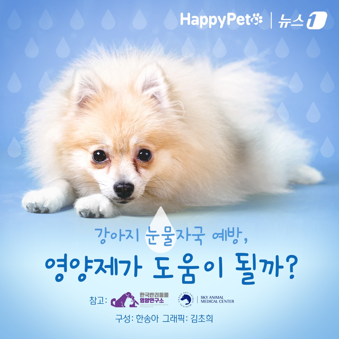 ⓒ News1 김초희 디자이너