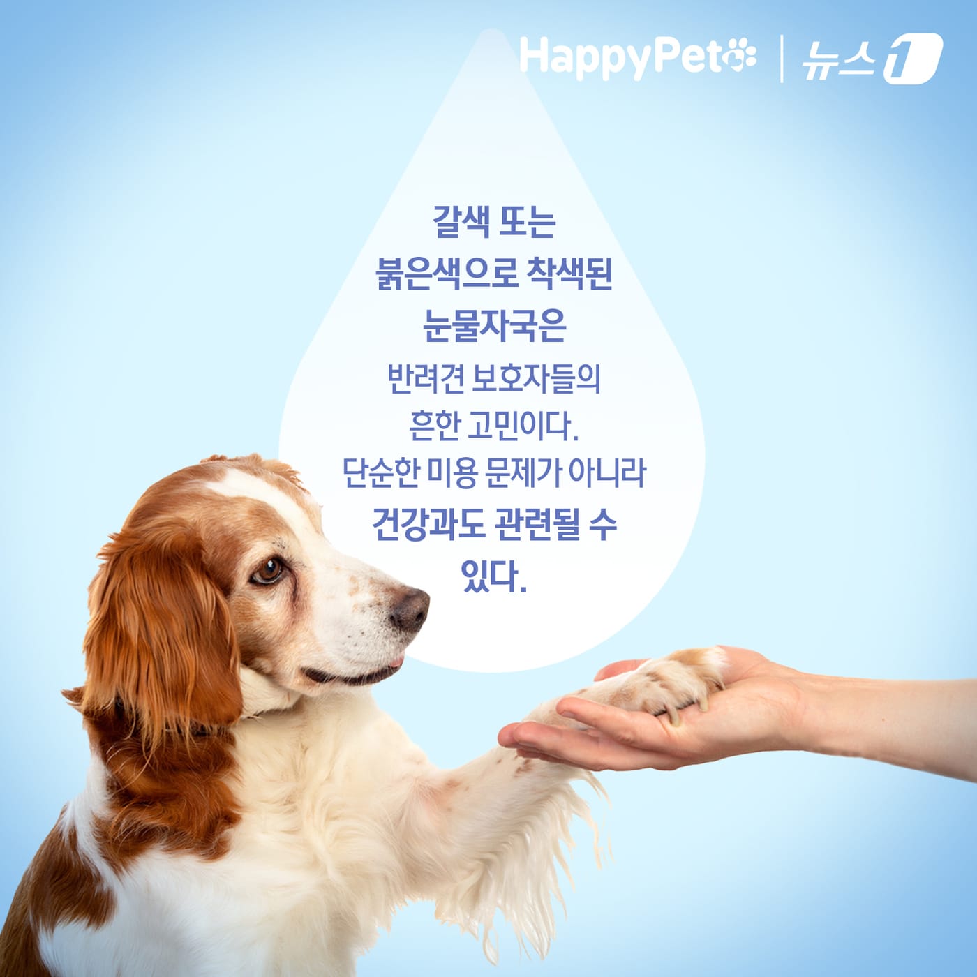 ⓒ News1 김초희 디자이너