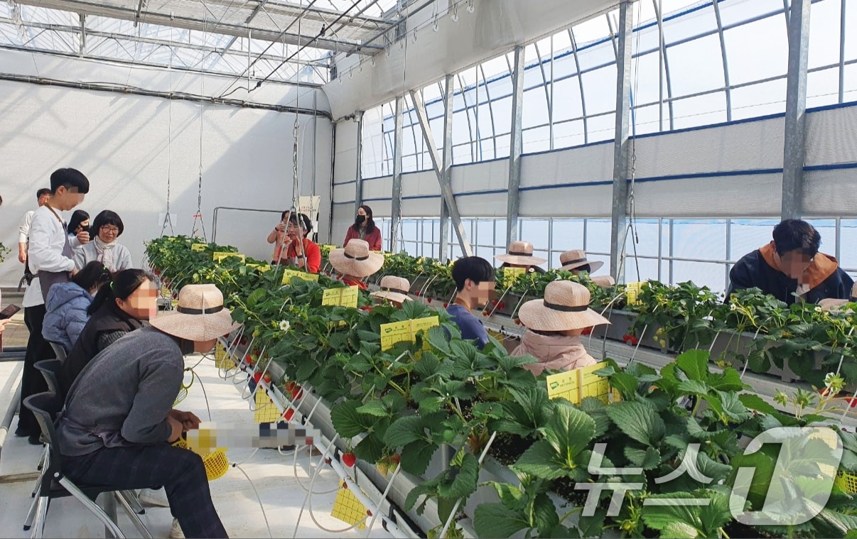 고창군이 치매안심센터, 장애인복지관 등 지역사회서비스 이용자들을 대상으로 치유체험프로그램을 운영한다. '치유 농업 프로그램'.(뉴스1/DB) 