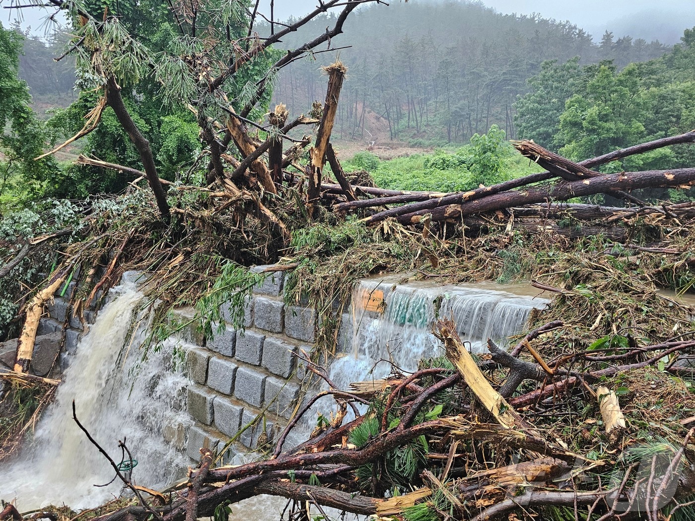 전북자치도는 생활권 주변 산사태 취약지역을 중심으로 사방사업을 조기에 착공해 오는 6월 우기 전까지 마무리할 계획이다.(전북자치도제공. 재판매 및 DB금지)2025.3.7/뉴스1