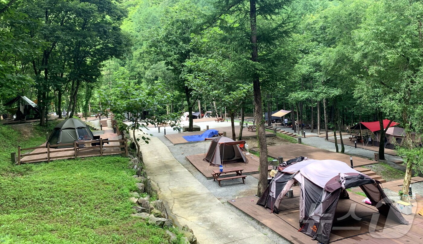 강원 화천 성서면 구운리 '만산동 국민여가 캠핑장'.(화천군 제공, 재판매 및 DB금지)