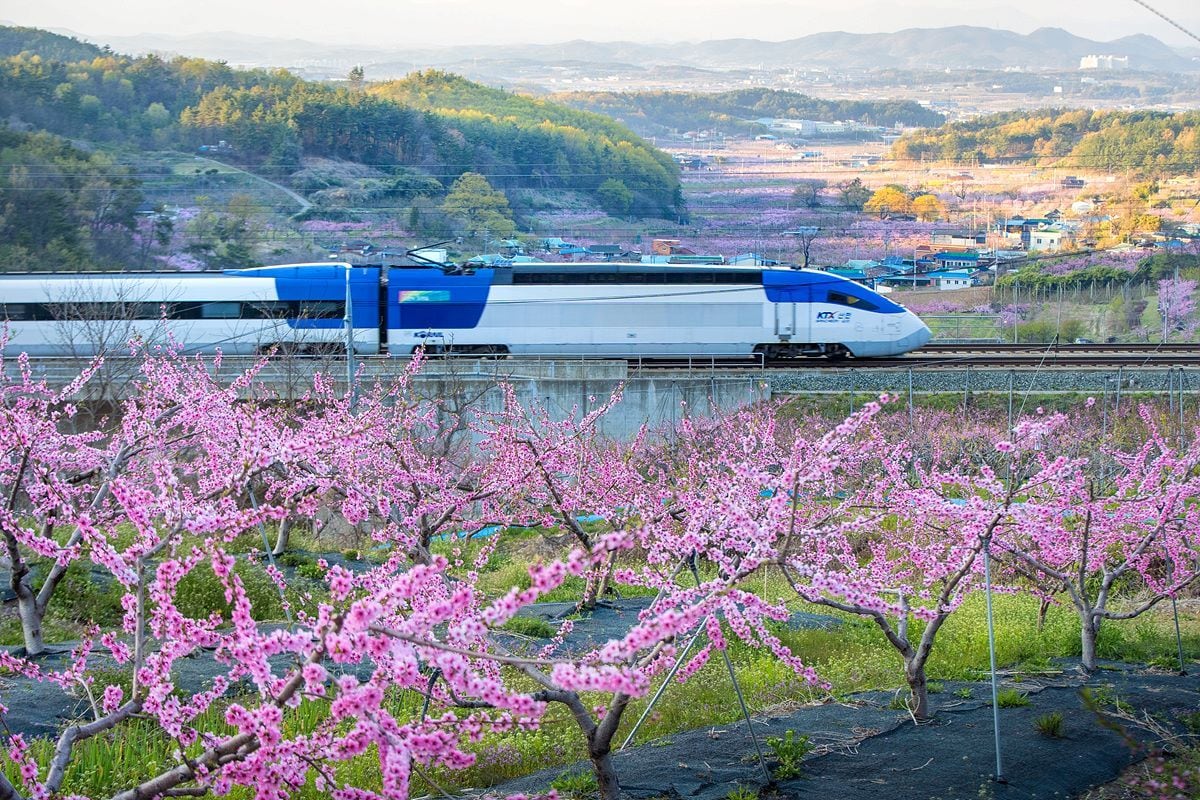 KTX 산천 모습.&#40;한국철도공사 제공&#41;
