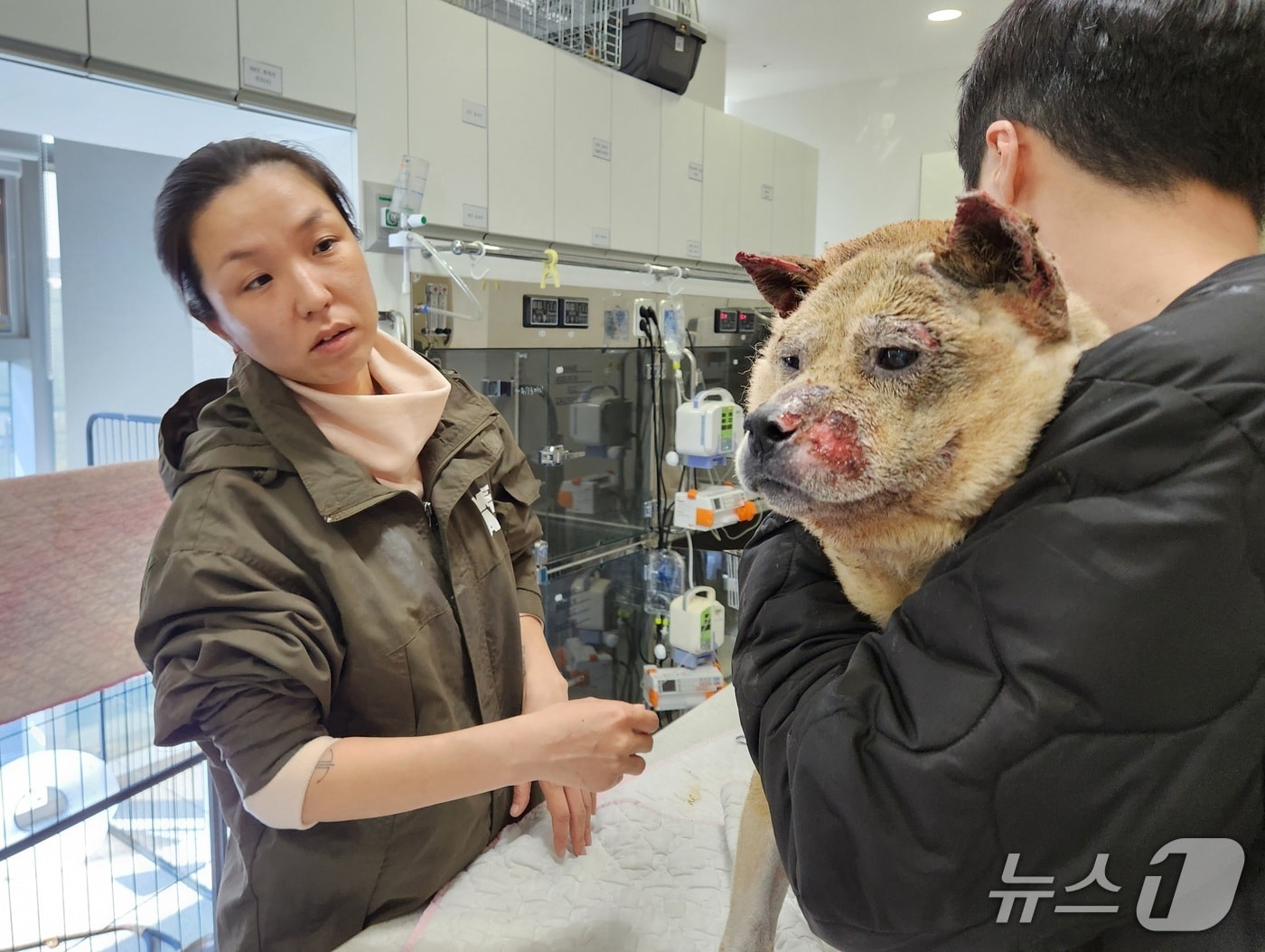 "짐 싸" 한마디에 불길 뚫은 사람들...350마리 생명 구했다[펫피플] - 뉴스 썸네일 이미지