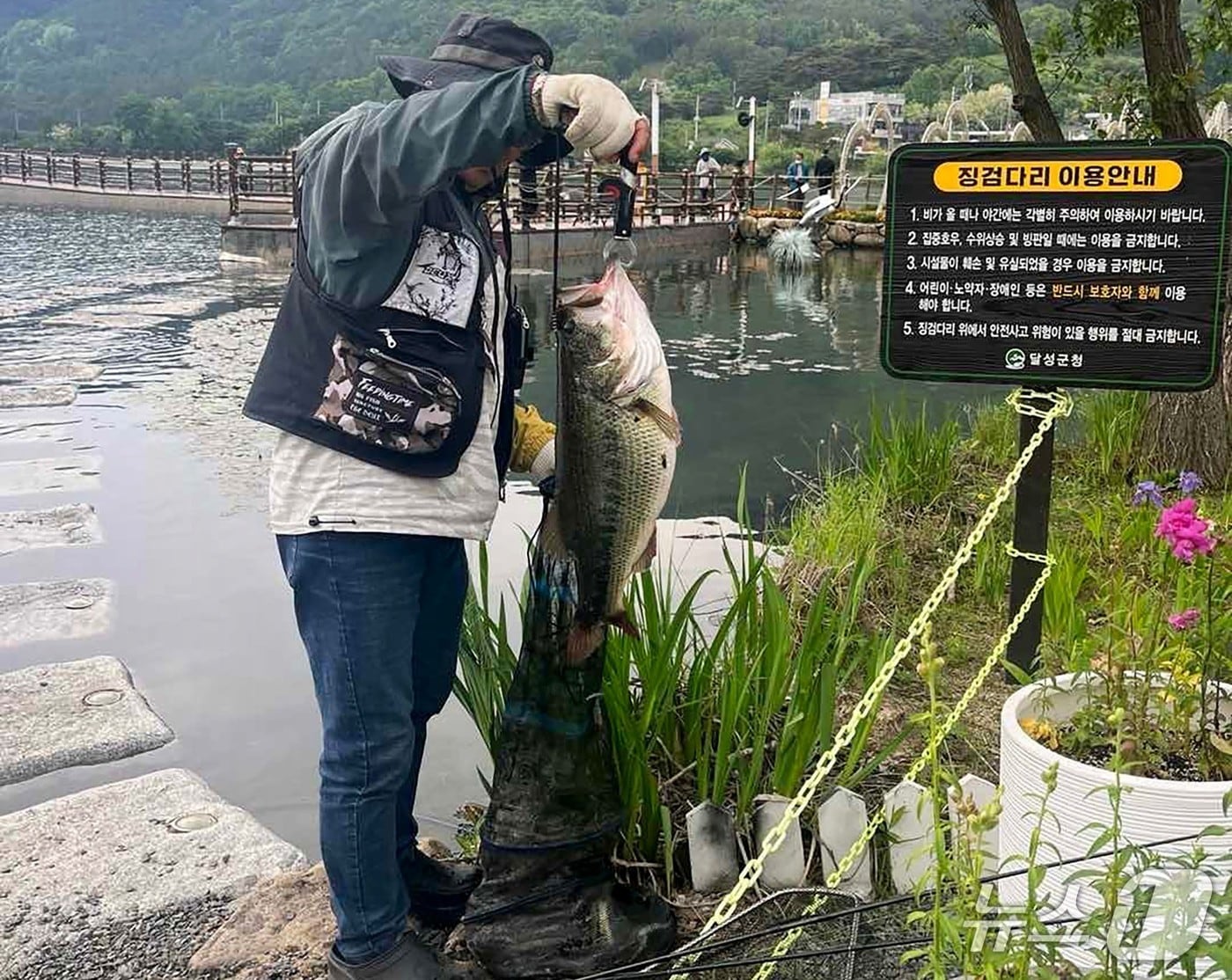 대구 달성군은 매주 둘째·넷째 월요일마다 옥포읍 송해공원 옥연지에서 '생태계 교란 유해 외래어종 퇴치 낚시 행사'를 개최한다.(재판매 및 DB 금지)