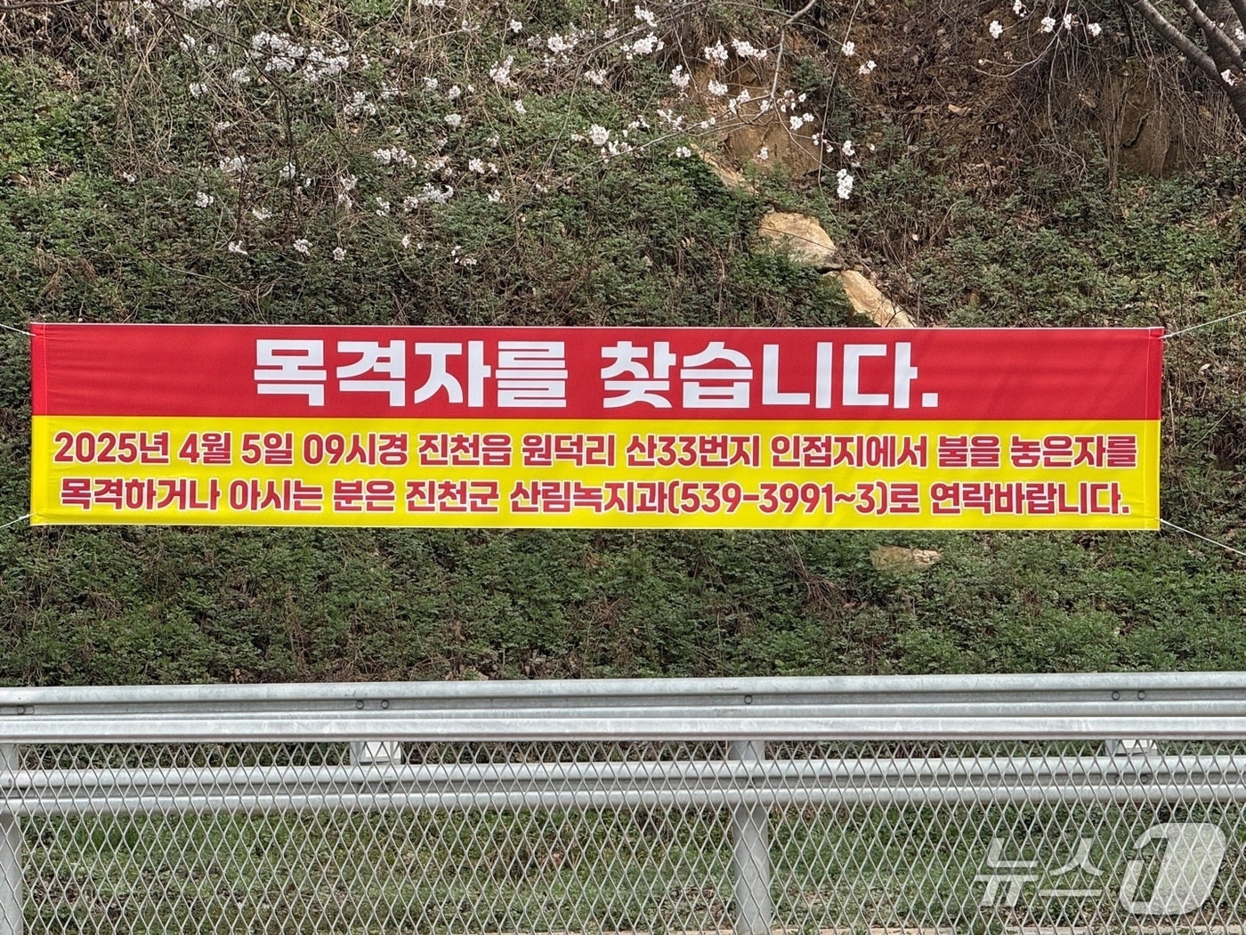 불법 소각 행위 목격자 찾는 현수막.&#40;진천군 제공. 재판매 및 DB금지&#41;/뉴스1