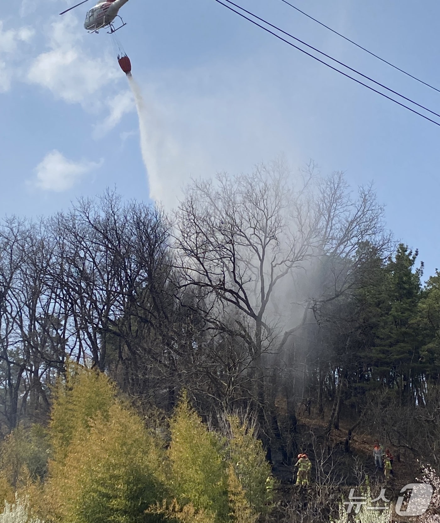 10일 오후 2시14분쯤 대구 군위군 의흥면의 한 야산에서 불이 나 산림 당국이 1시간 여 만에 진화했다.(대구소방안전본부 제공.제판매 및 DB 금지)