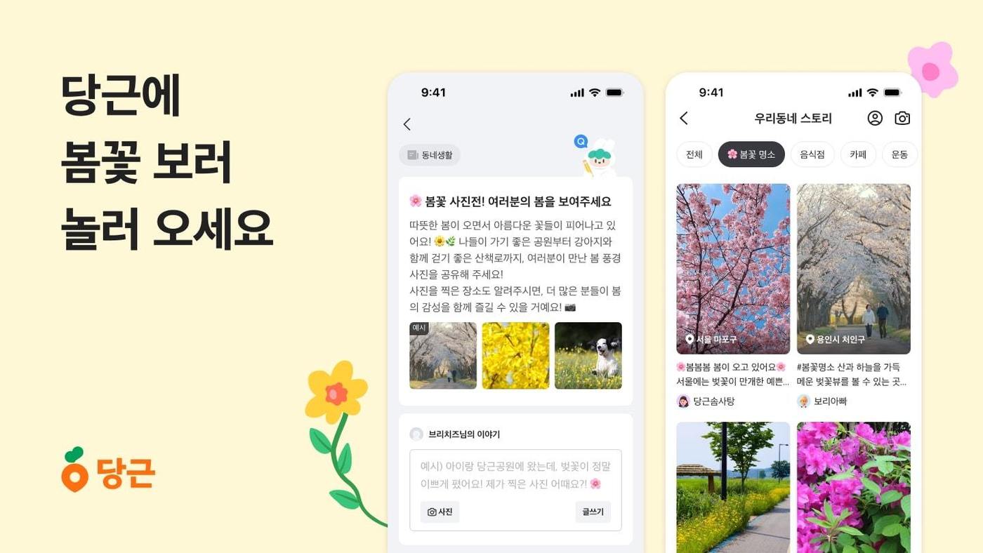 당근, 봄꽃 사진전 개최