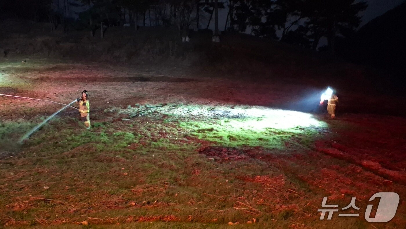 지난 9일 오후 7시쯤 단양군 적성면 불법소각 행위 현장.(단양군 제공. 재판매 및 DB금지)/뉴스1