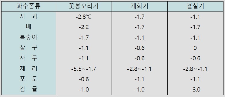 작목별 개화기 전후 저온 피해 한계 온도 (농촌진흥청 제공) 2025.04.11 /뉴스1