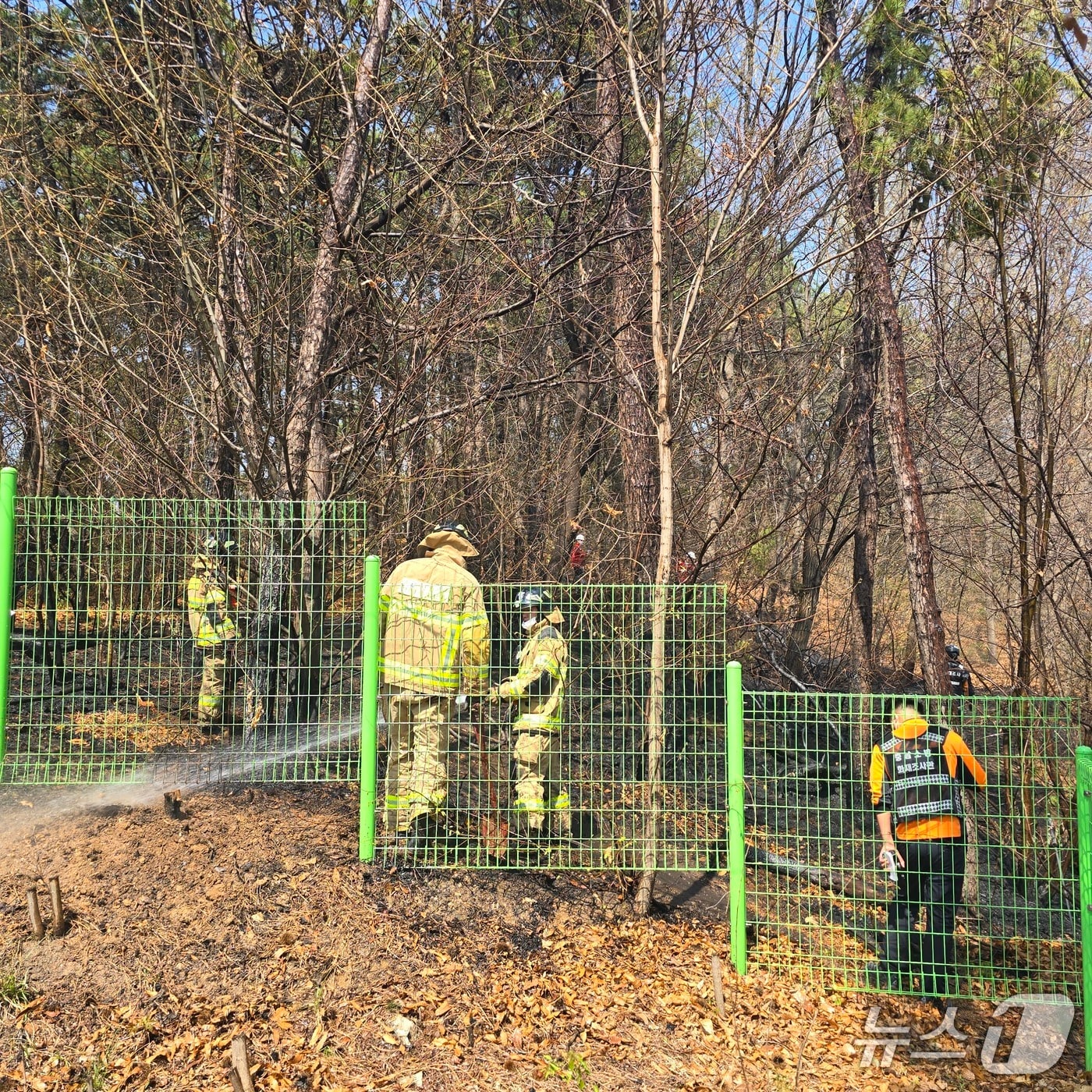 11일 낮 12시 55분께 충남 천안 서북구 성환읍 매주리의 야산에서 불이 나 산림당국이 진화 작업을 벌이고 있다. (독자제공. 재판매 및 DB금지)/뉴스1