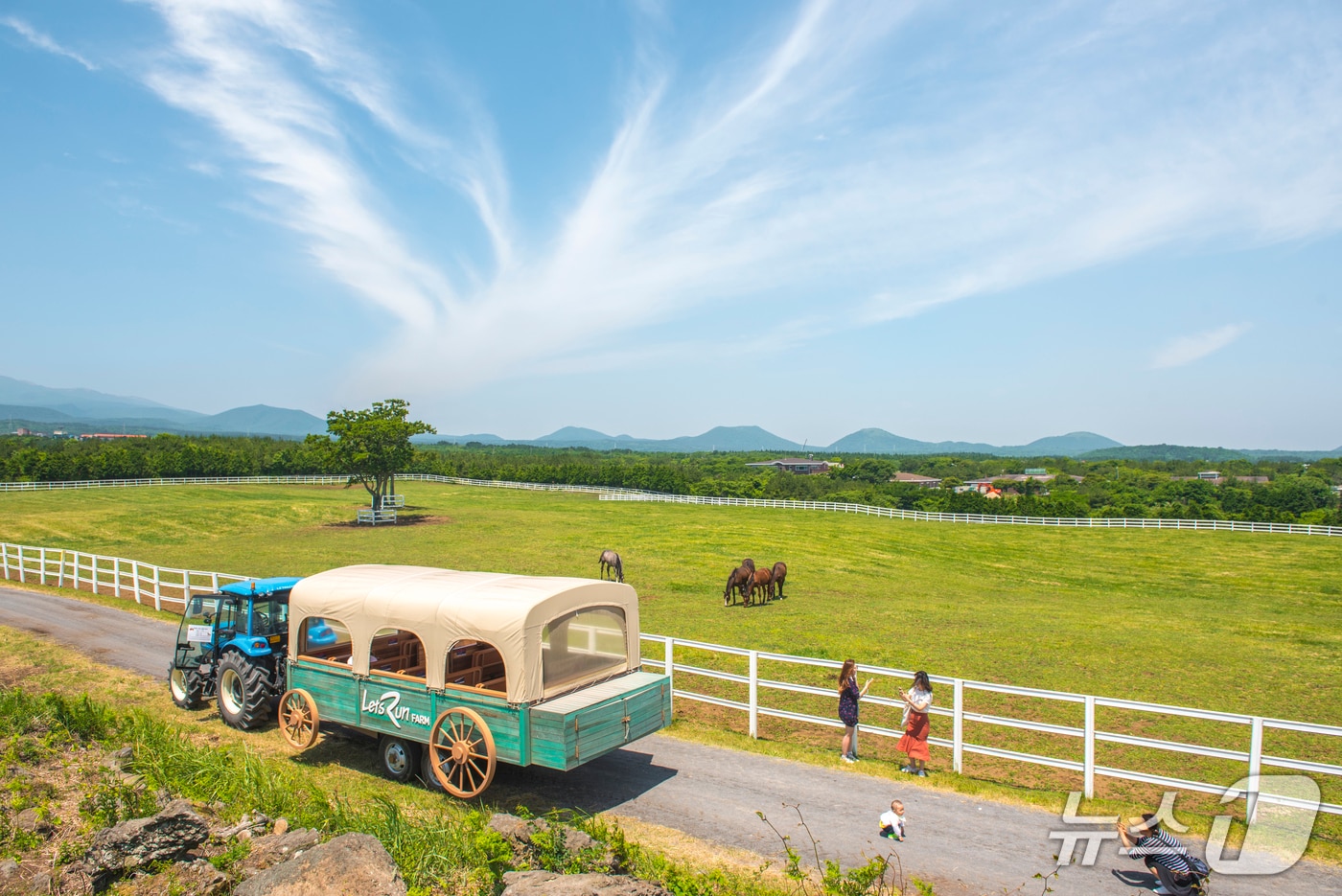 한국마사회 제주목장의 말마 트랙터 마차.(한국마사회 제공, 재판매 및 DB 금지)