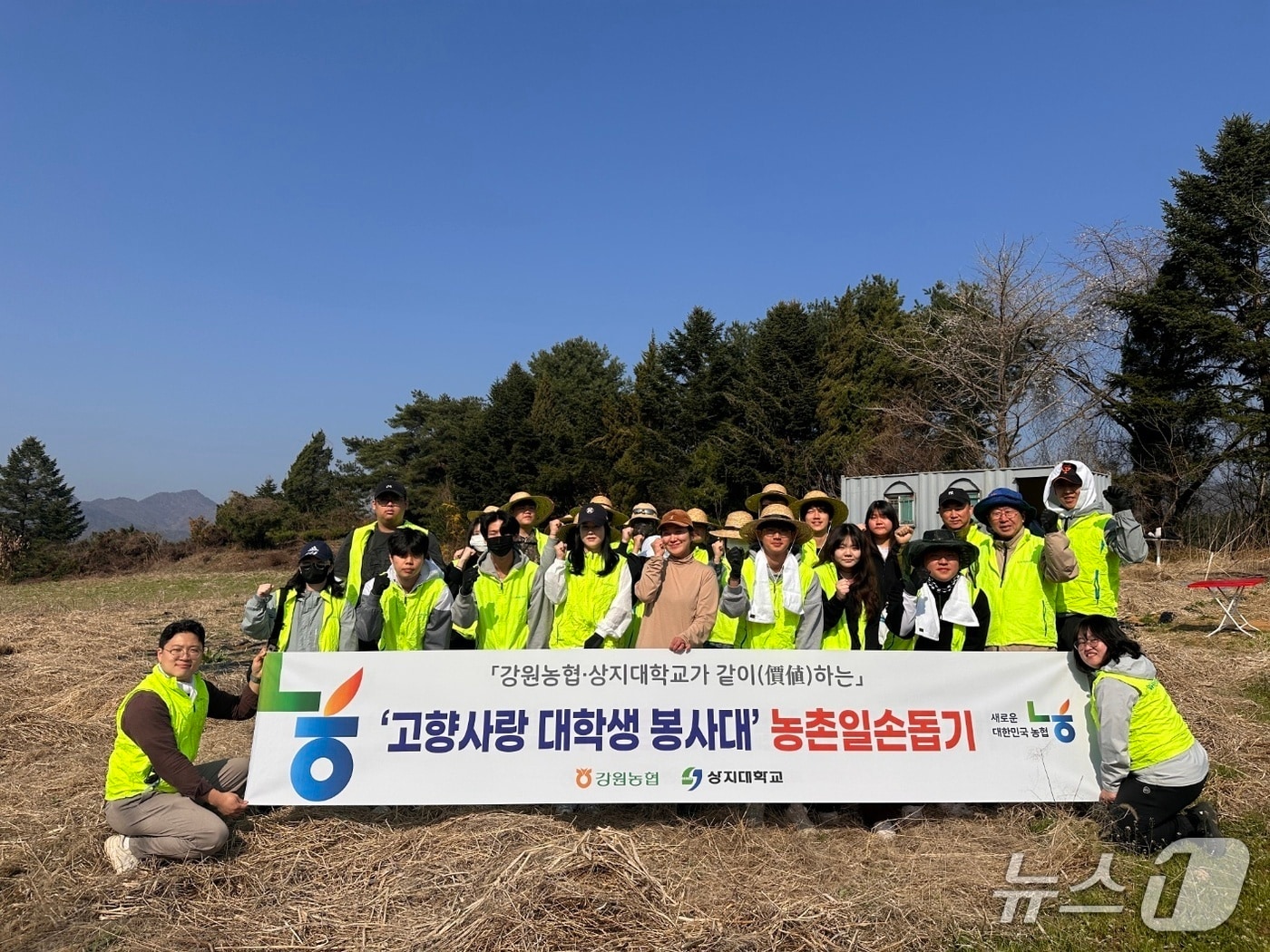 농촌 일손 돕기.(농협 강원본부 제공. 재판매 및 DB금지)/뉴스1