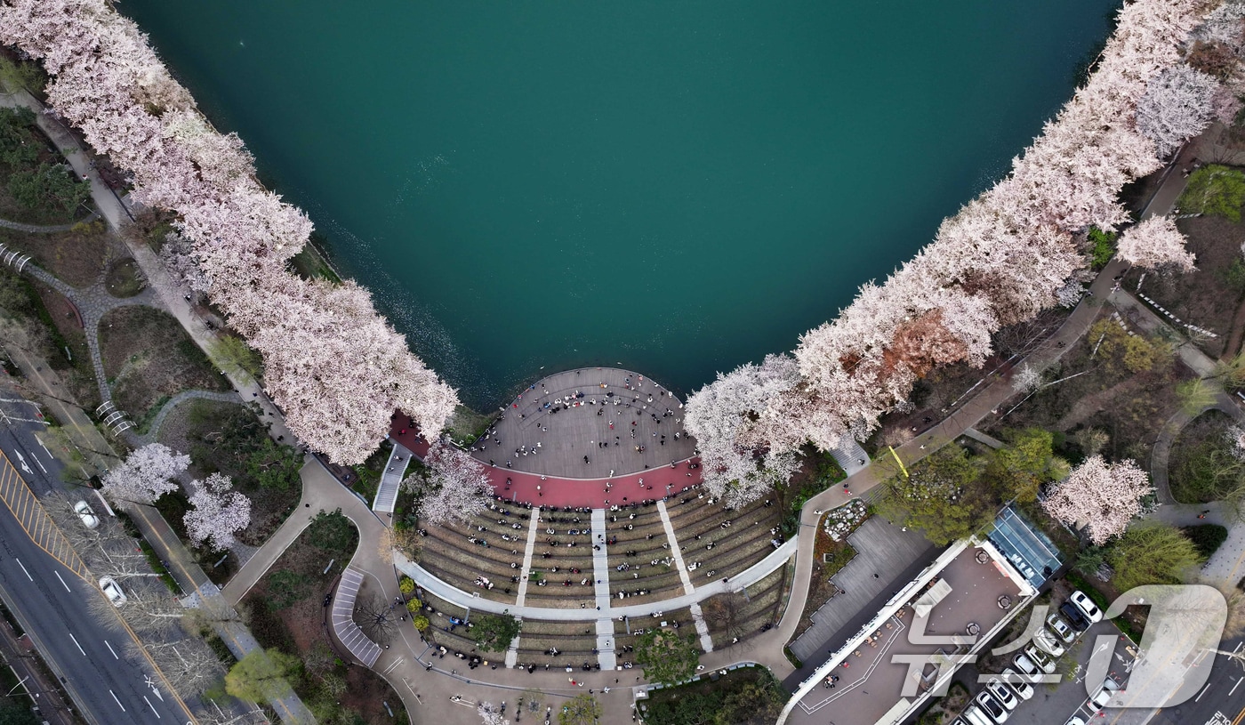 지난 10일 벚꽃이 만개한 서울 송파구 석촌호수에서 시민들이 봄을 즐기고 있다. (송파구 제공. 재판매 및 DB 금지) 2025.4.11/뉴스1