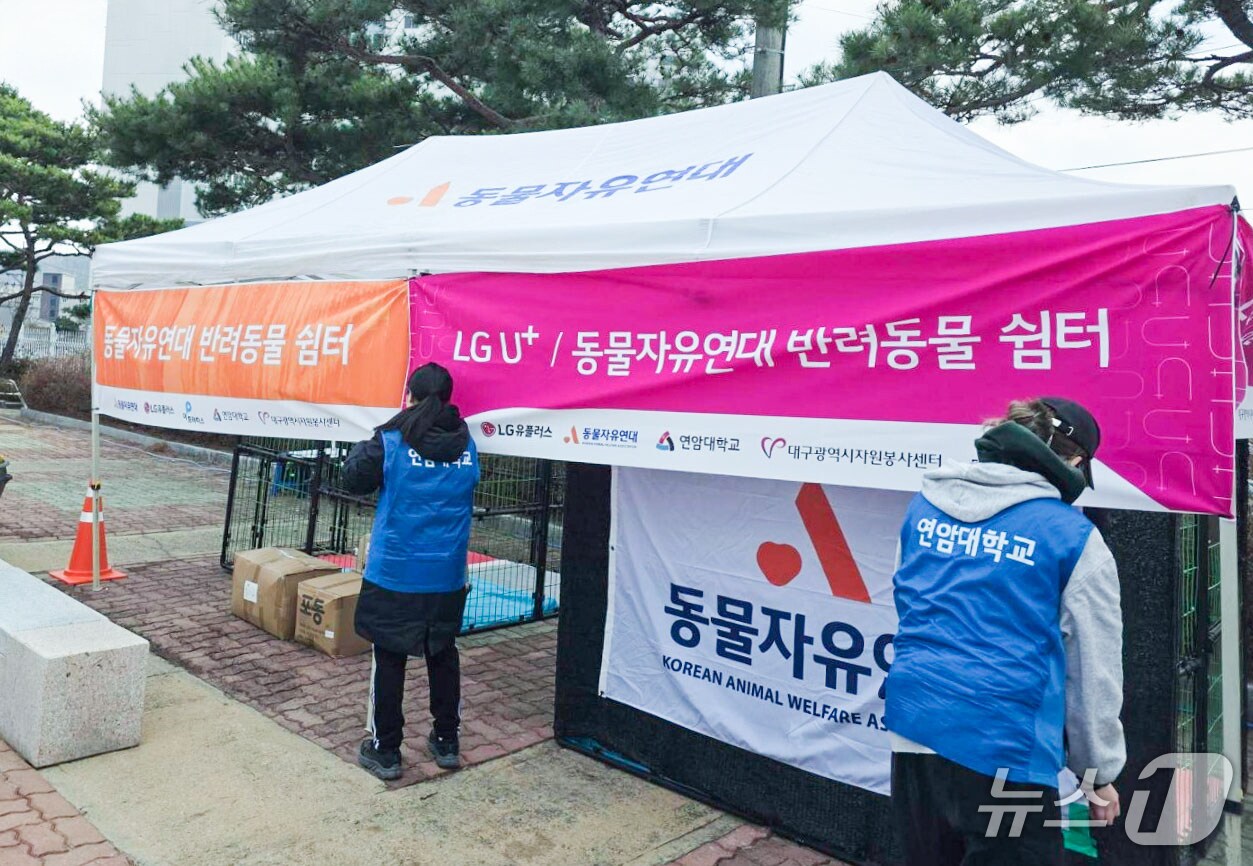 (LG유플러스 제공)/뉴스1