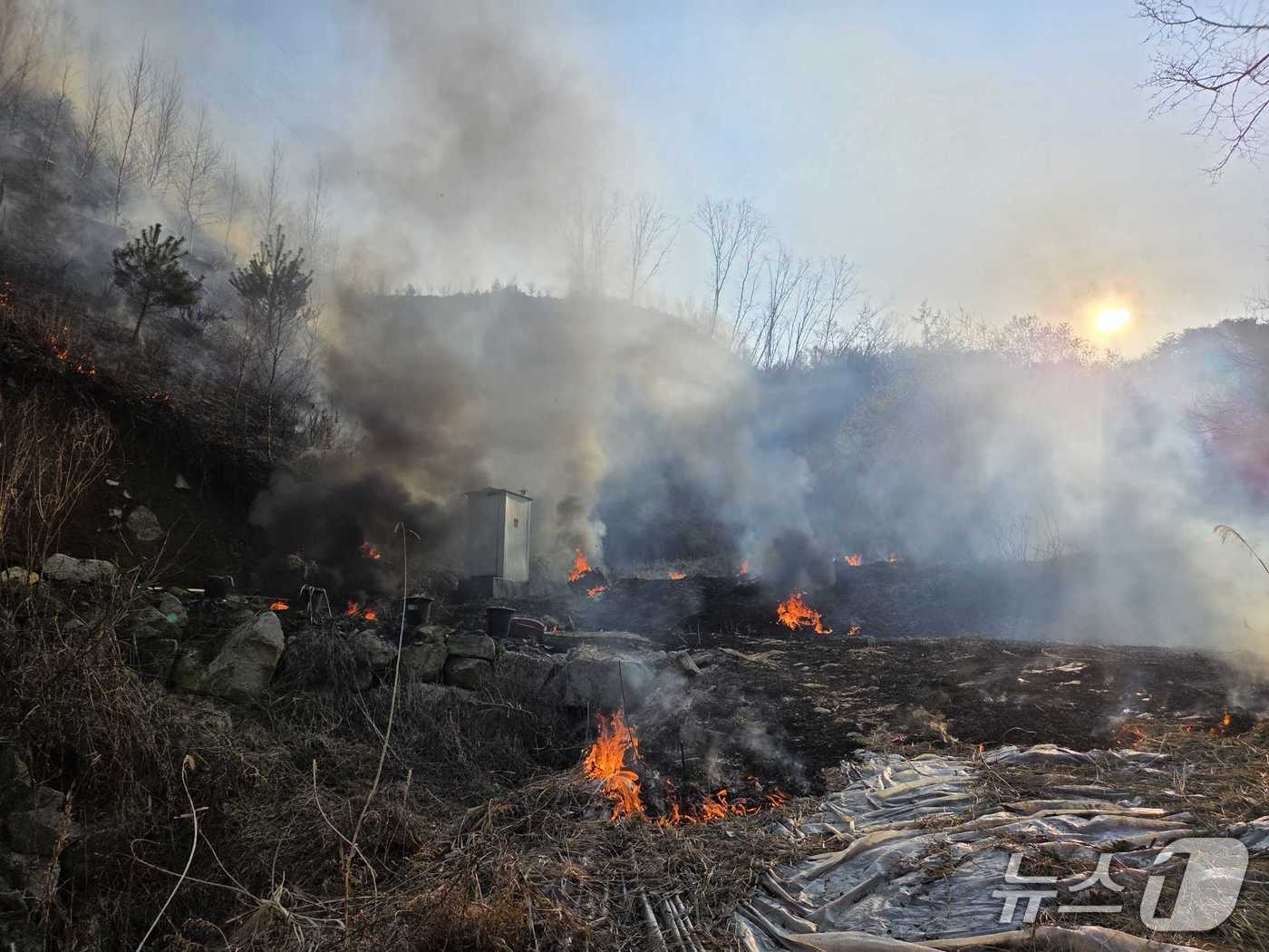 홍천 내촌면 도관리 산불 현장.(강원도소방본부 제공, 재판매 및 DB금지)