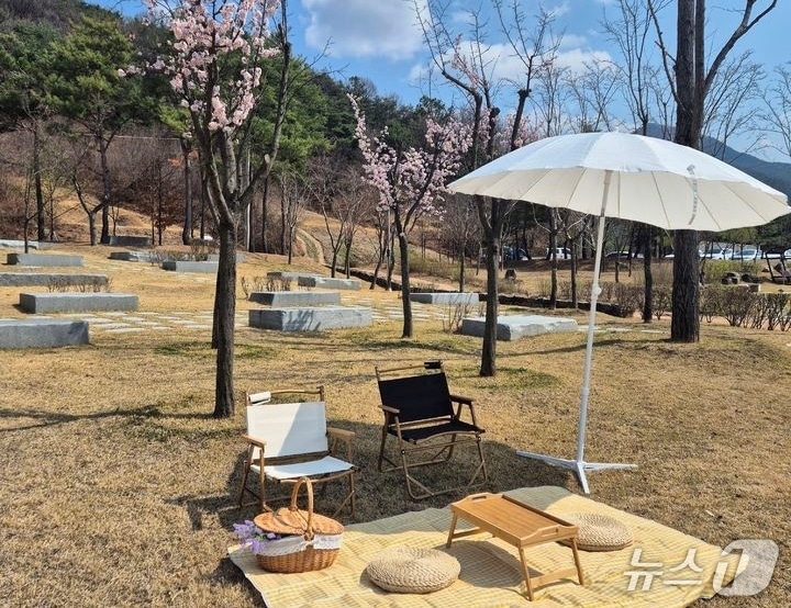 신라불교초전지, 피크닉 세트(구미시 제공) 2025.4.12/뉴스1