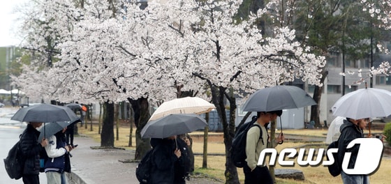 12일 전북은 낮부터 비가 내린다./뉴스1 ⓒ News1 유경석 기자 